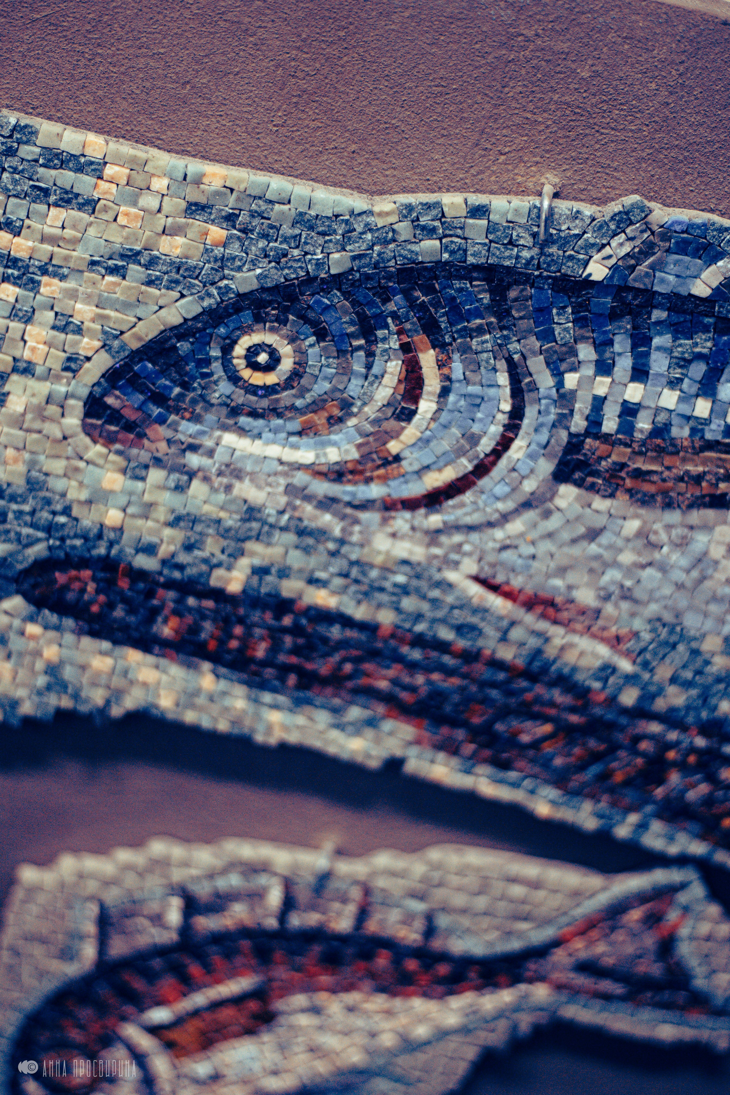 Корпоратив делового издания «Ведомости». Ваш фотограф в Санкт-Петербурге Анна Просвирина