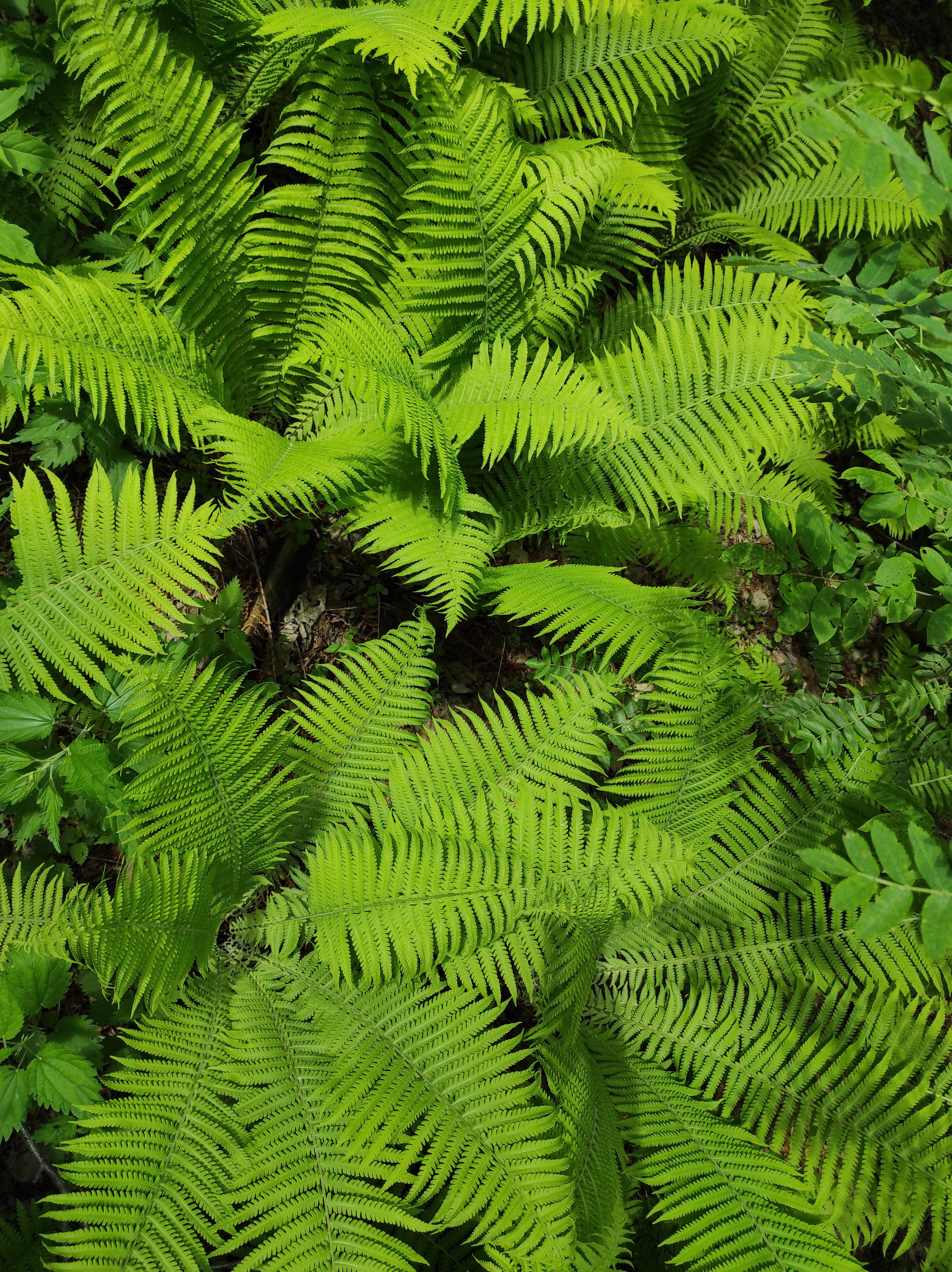 Вдохновение. Бутакова Елена фотограф в Екатеринбурге