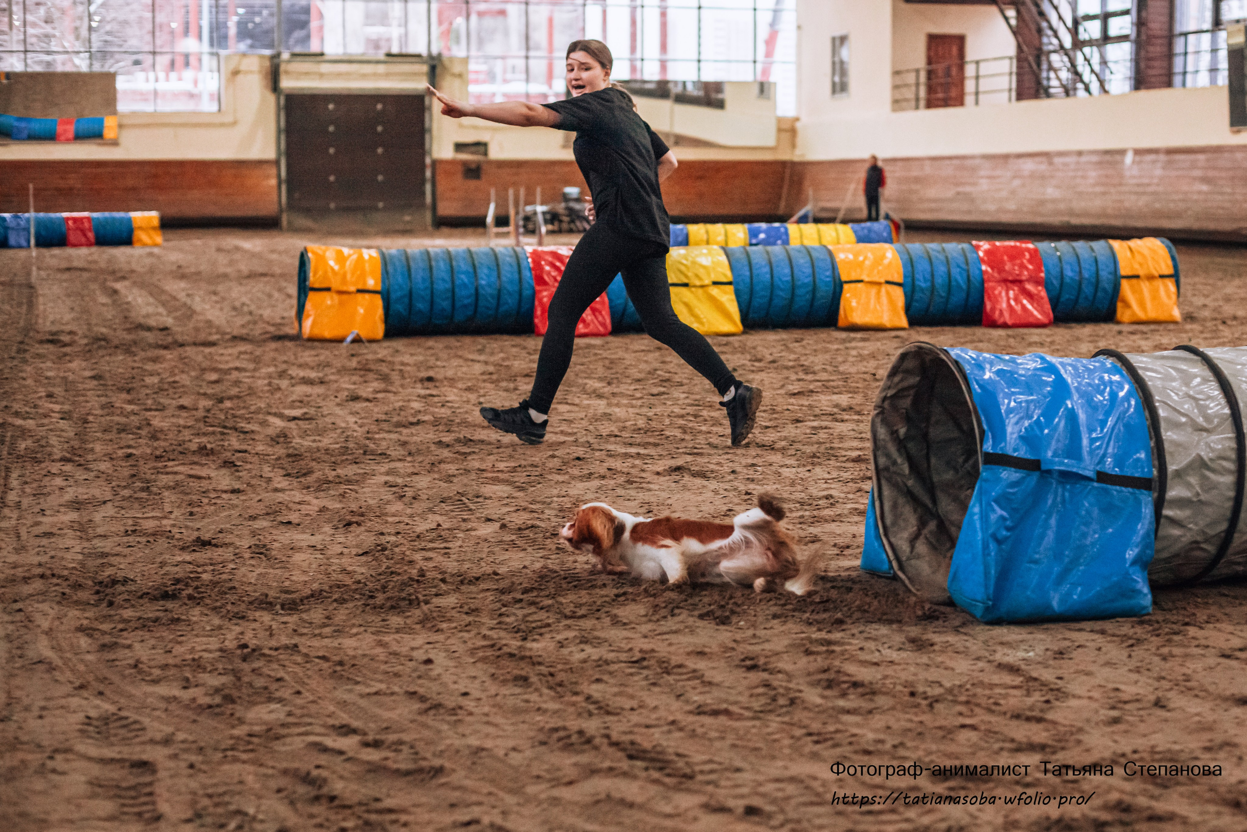 Соревнования по Аджилити 25.02.2024. Фотограф-анималист Татьяна Степанова