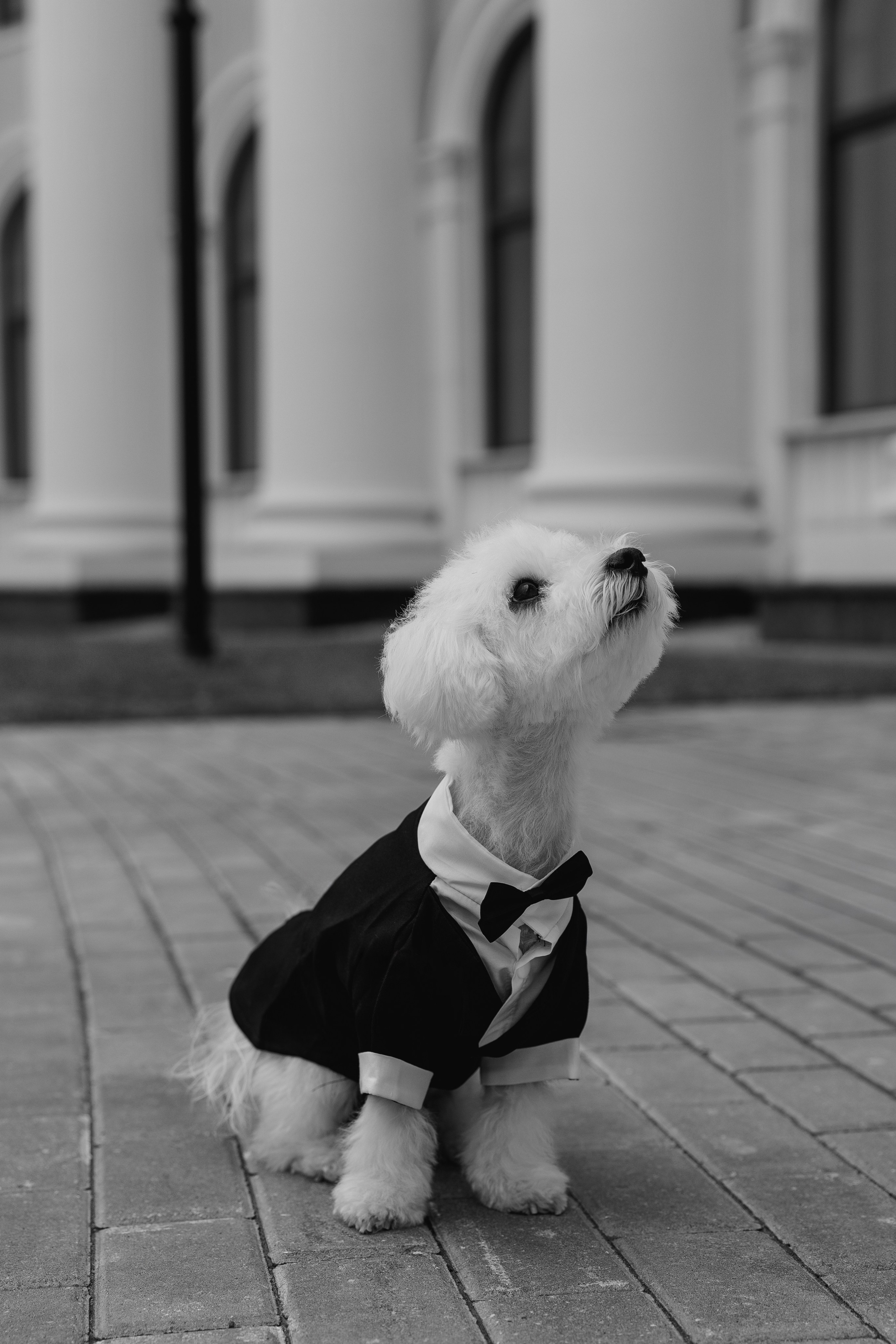 Кристина и Даниил. Семейный и свадебный фотограф Нижний Новгород