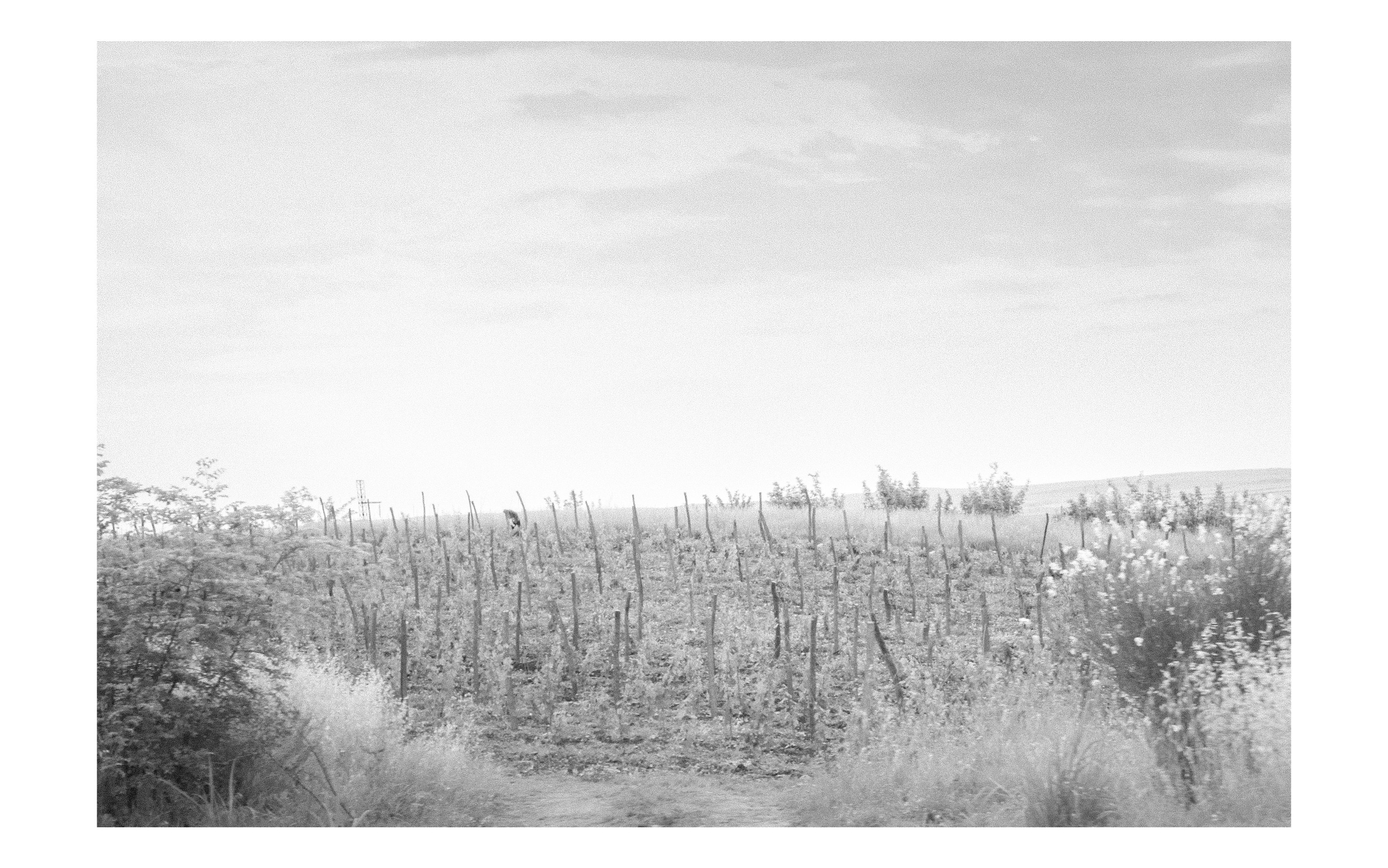 Фотографии из Грузии для интерьеров. Фотографии Руслана Сайдалиева (Рус Сай)