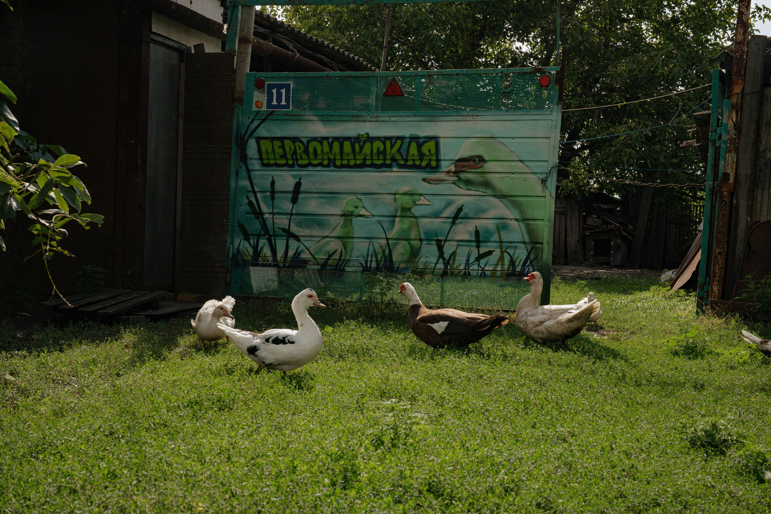 ASS FAMILY | СОН В ДЕРЕВНЕ | АВИАРЕЖИМ 8.0