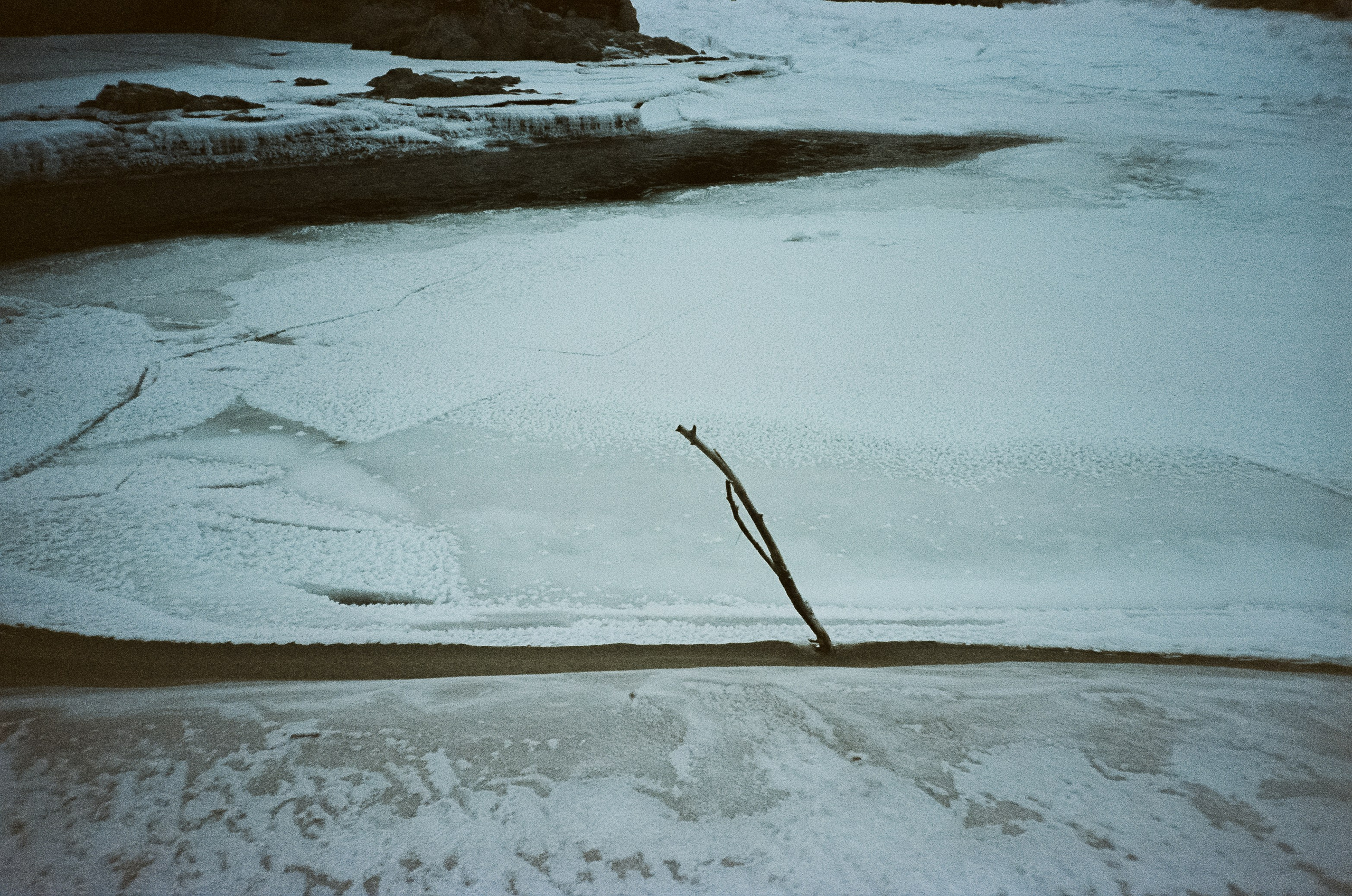 Кедровый остров в суровый мороз. Фотограф-документалист Мария Осокина