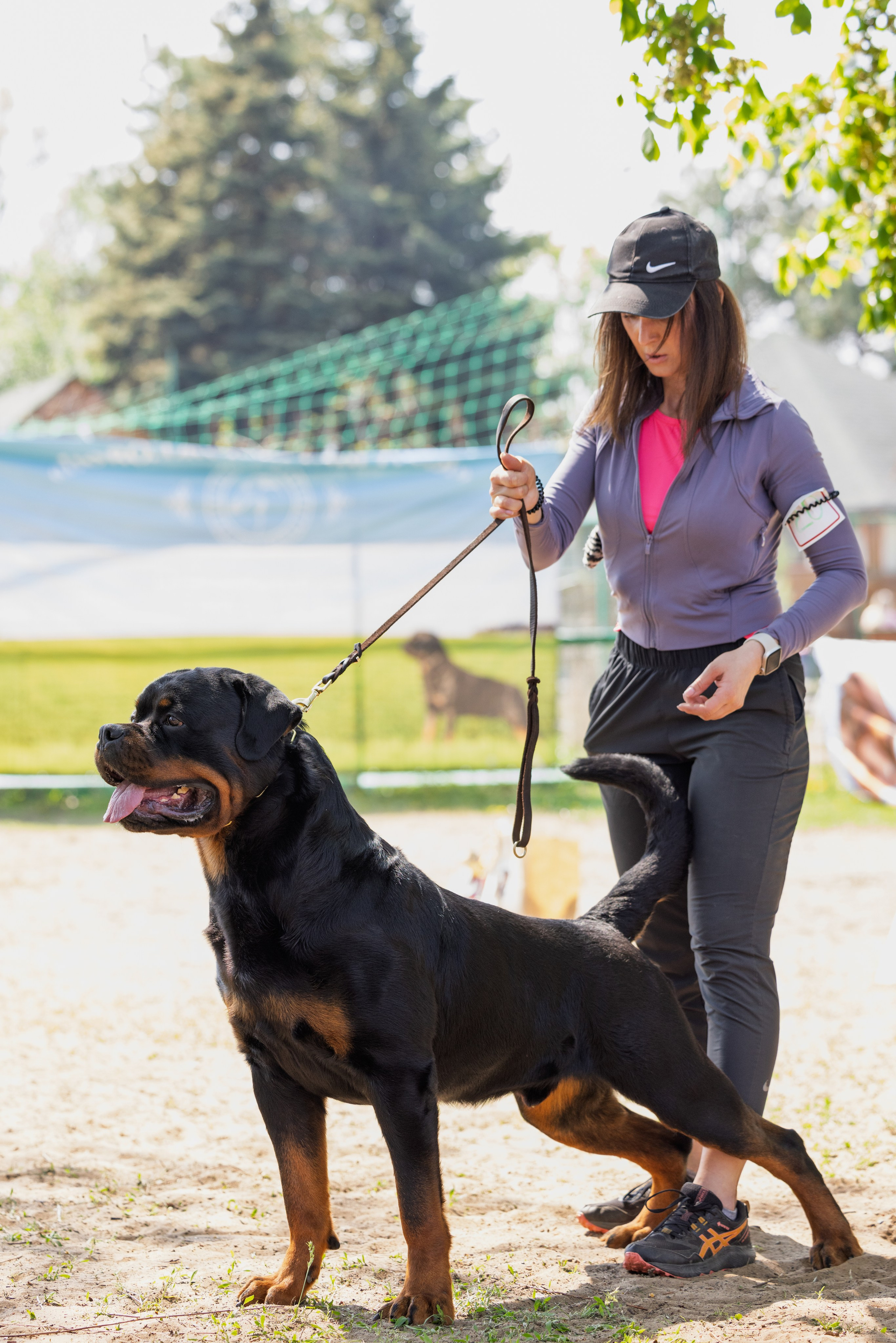 Саратов моно ротвейлеров 26-27.04.2025. Фотограф-анималист Юлия Германика