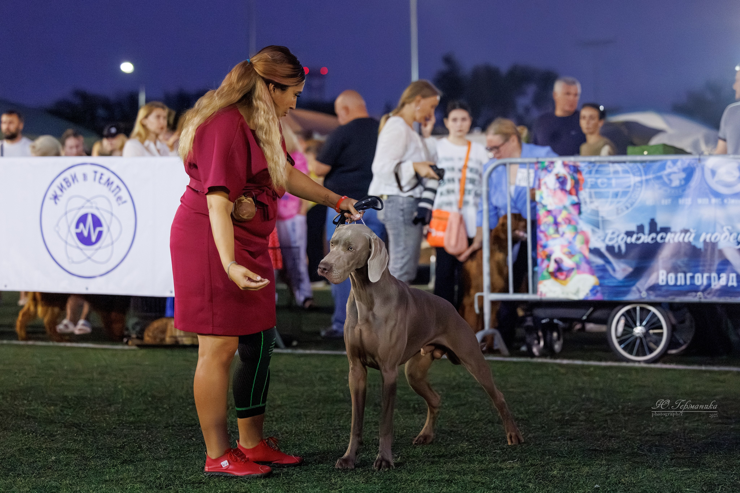 Калининград 25-27.07 Волгоград 1-3.08 2025. Фотограф-анималист Юлия Германика