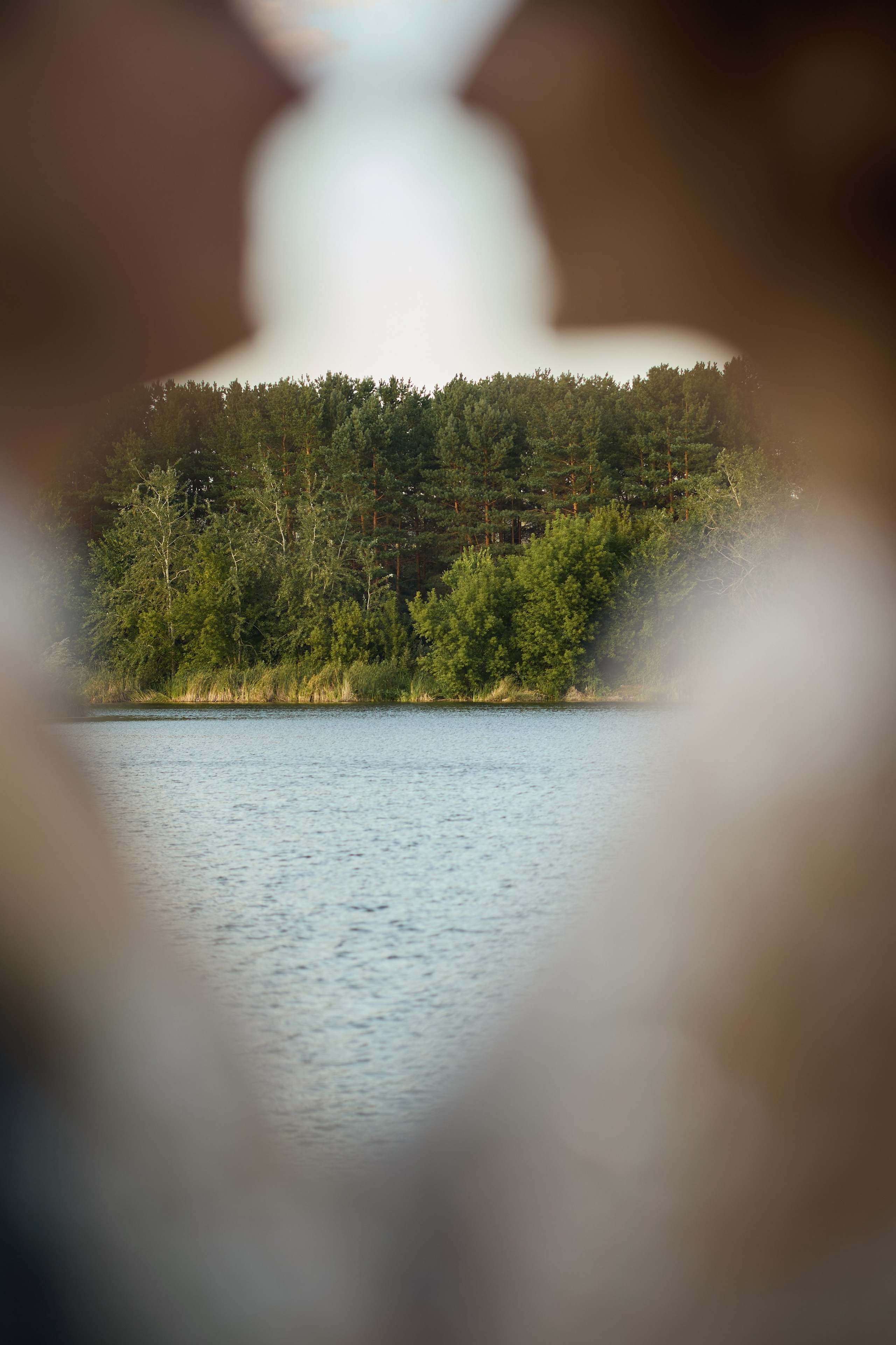 Александра и Алексей