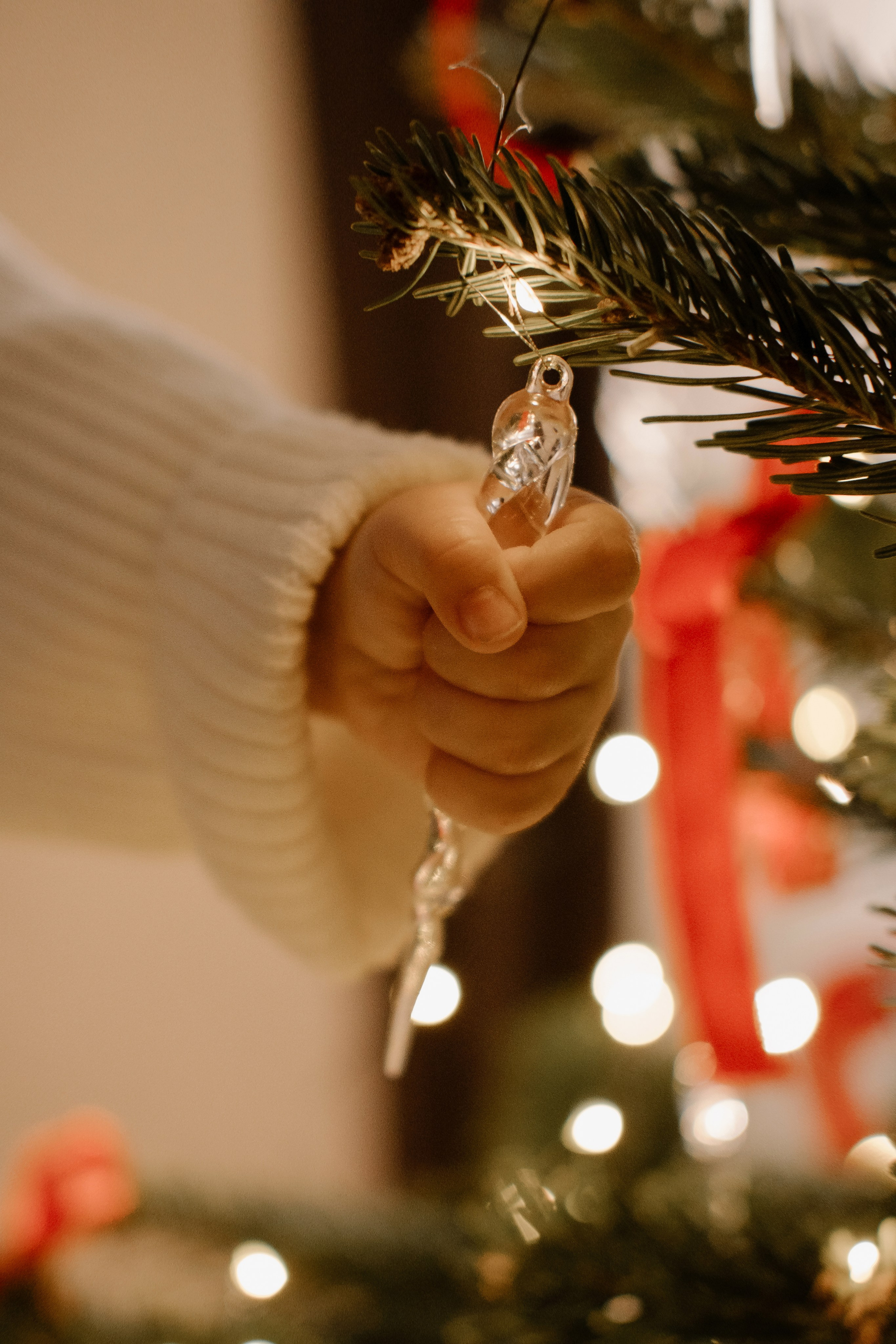 Семейные фотосессии в Сочи, Сириус и на Красной поляне. Семейный, свадебный фотограф Сочи, Адлер, Красная поляна