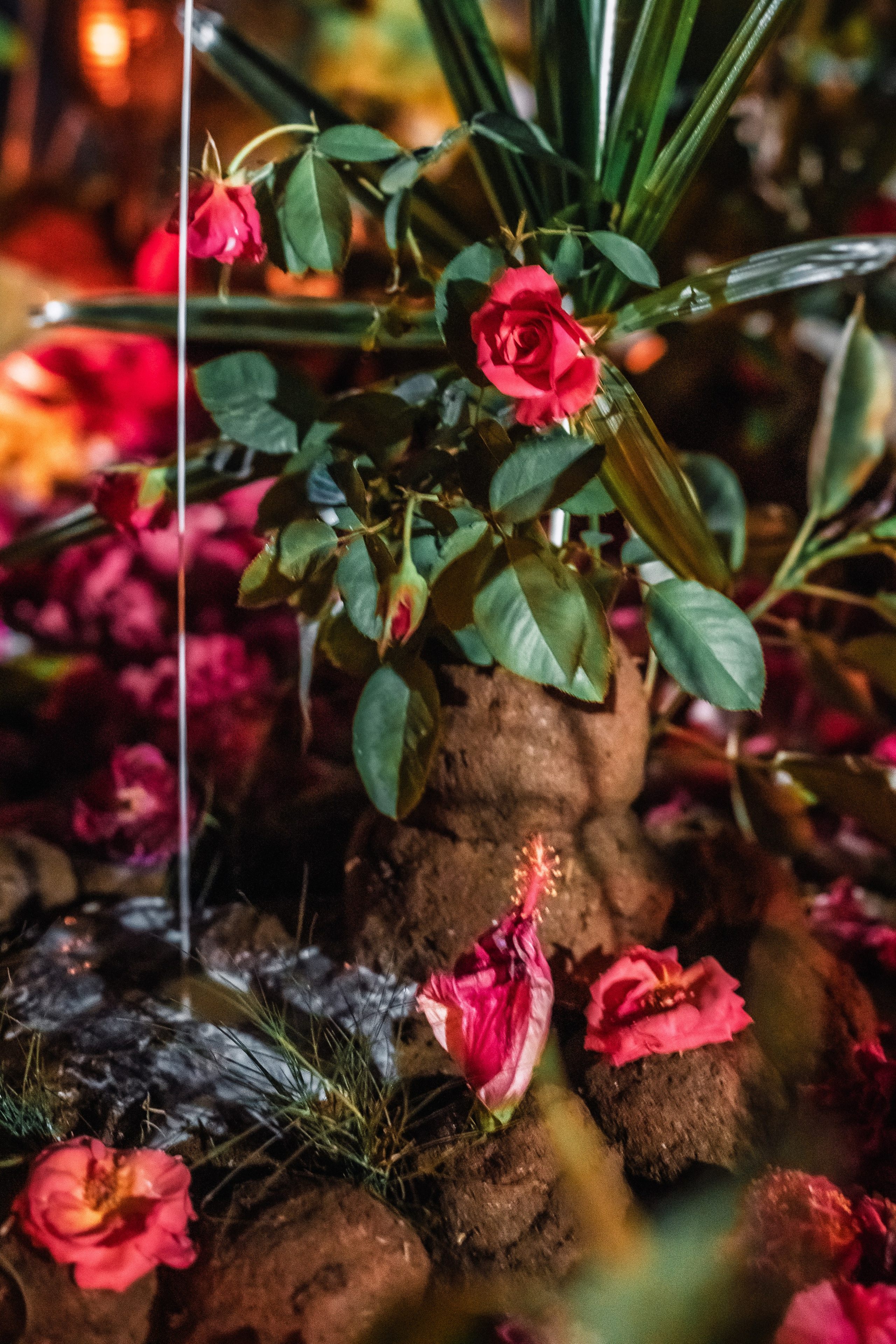 Govardhana puja. Мариам Багдасарян