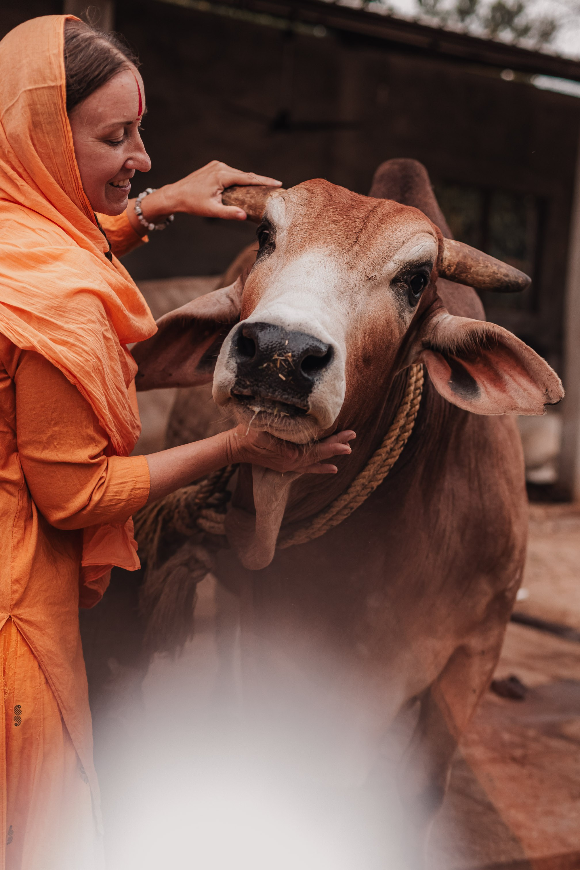 Devraha Baba Ji Ashram in Vrindavan. Мариам Багдасарян