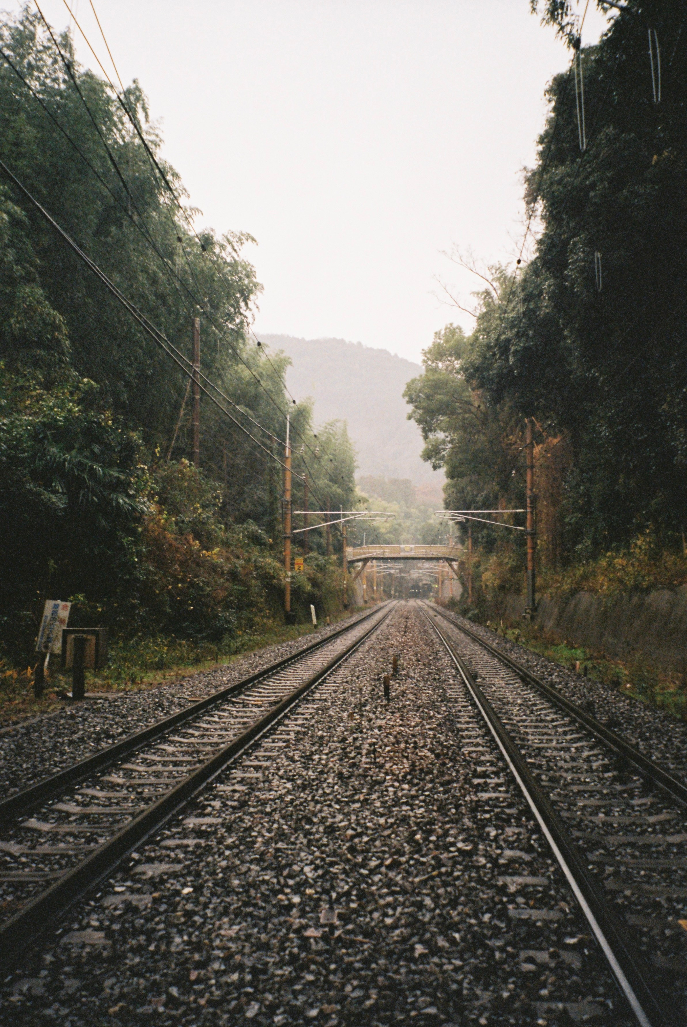 Пленка. Фотограф Алина Диева Москва | Токио