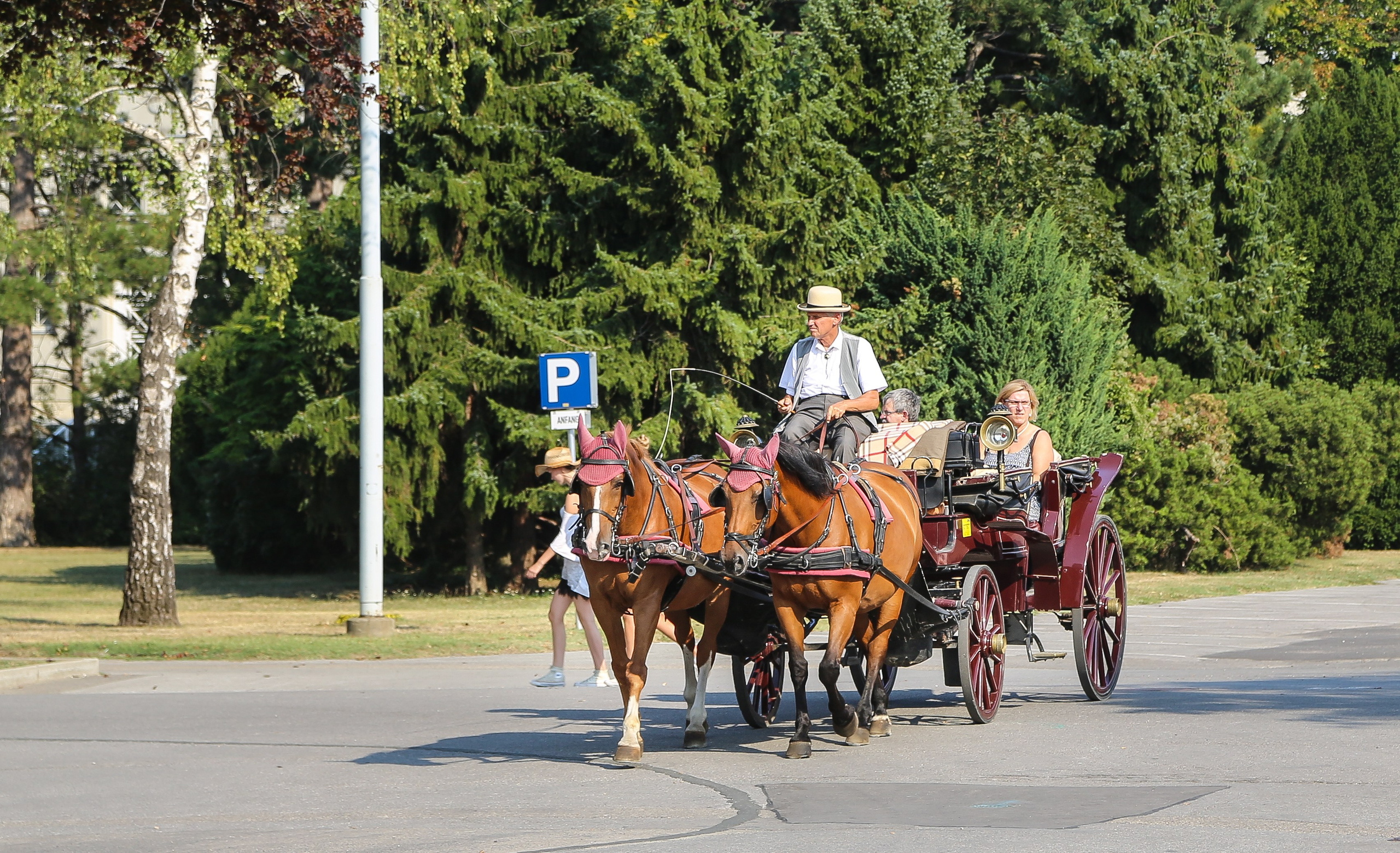 Австрия: Вена — Юденплатц и Центральной кладбище. Дарья Письменюк / Darya Leitstern — фотограф, музыкант, журналист, путешественник