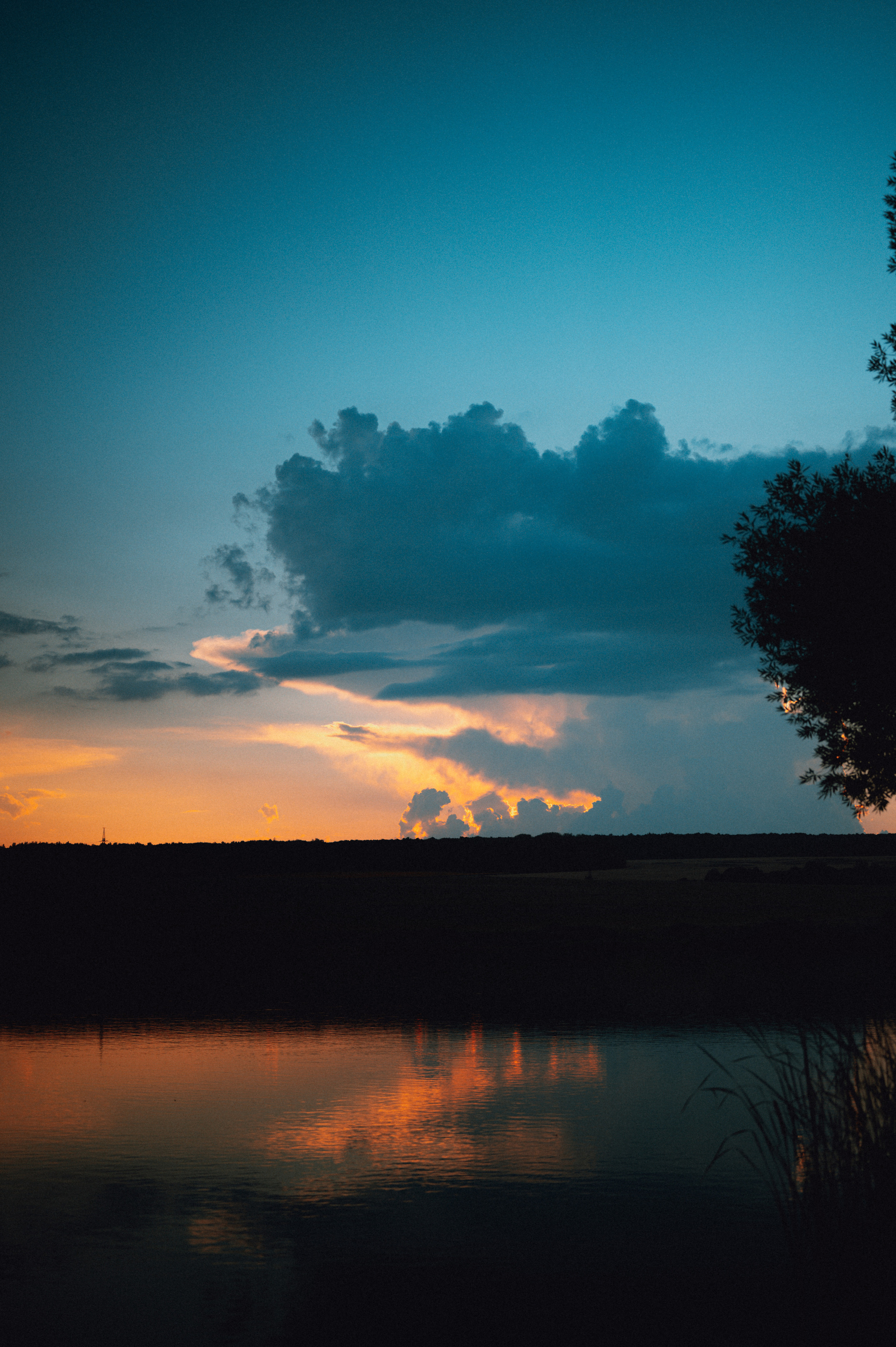 Мир вокруг. Фотограф Анна Темнова. Пенза