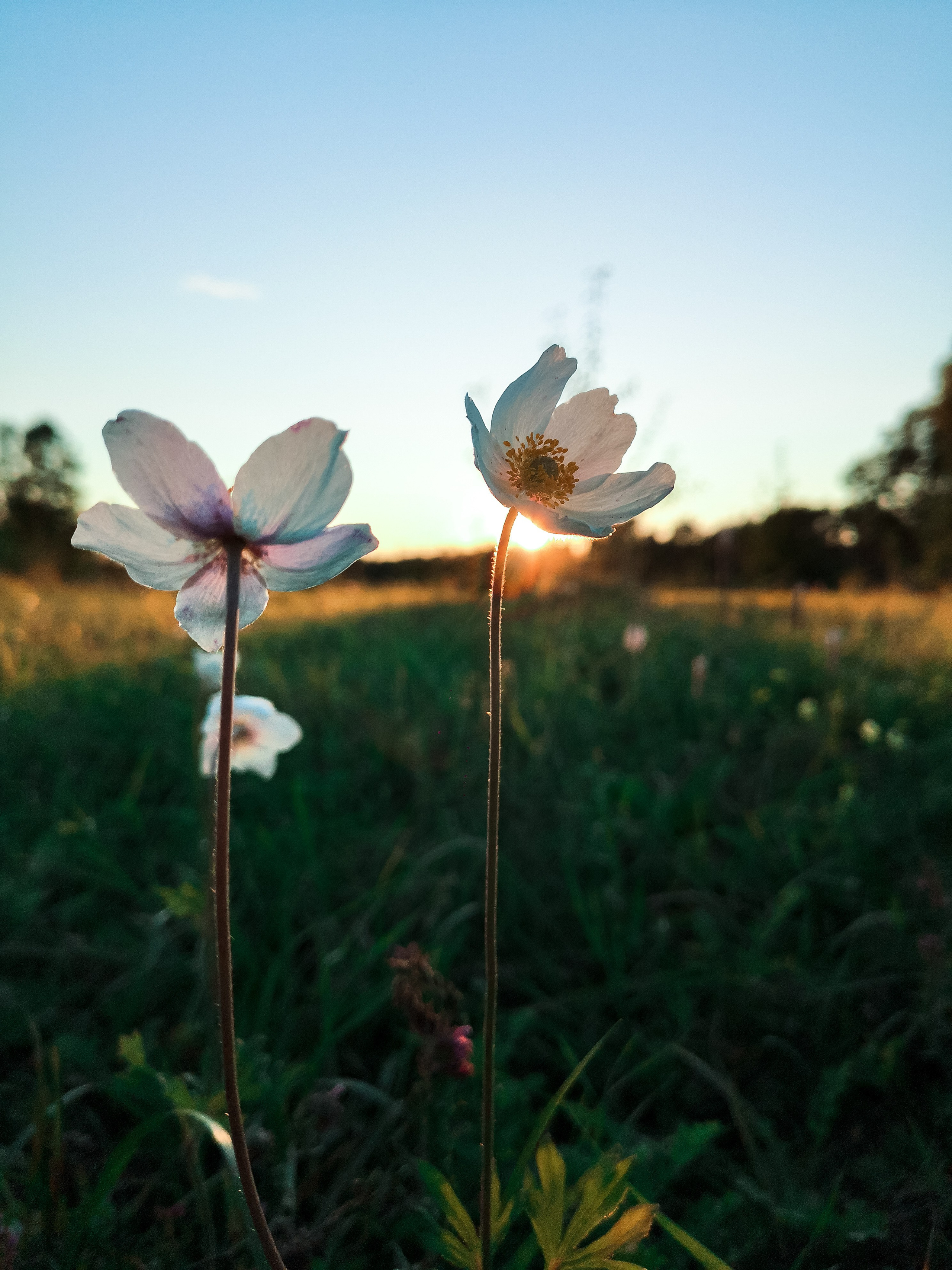 Мобильная солянка. Travel-фотограф Ирина Милинцова