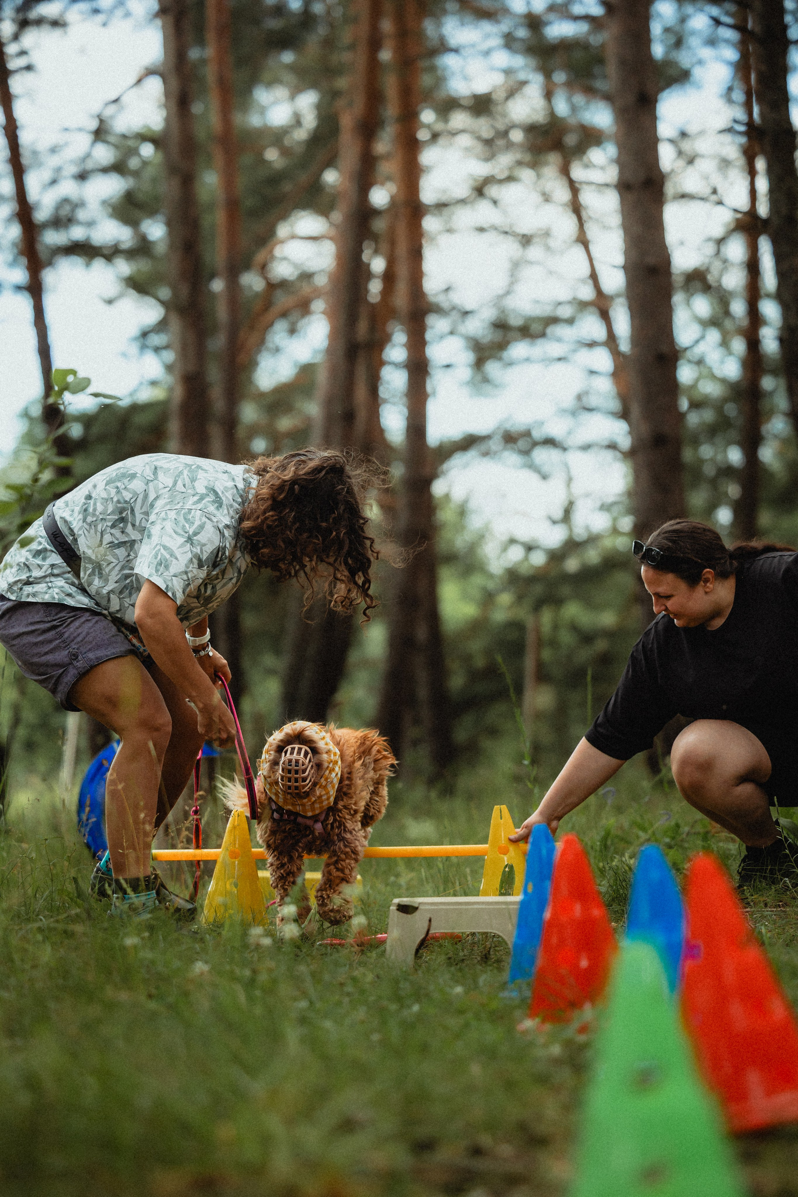Выездной дог-тренинг от школы «Шерсть имею»