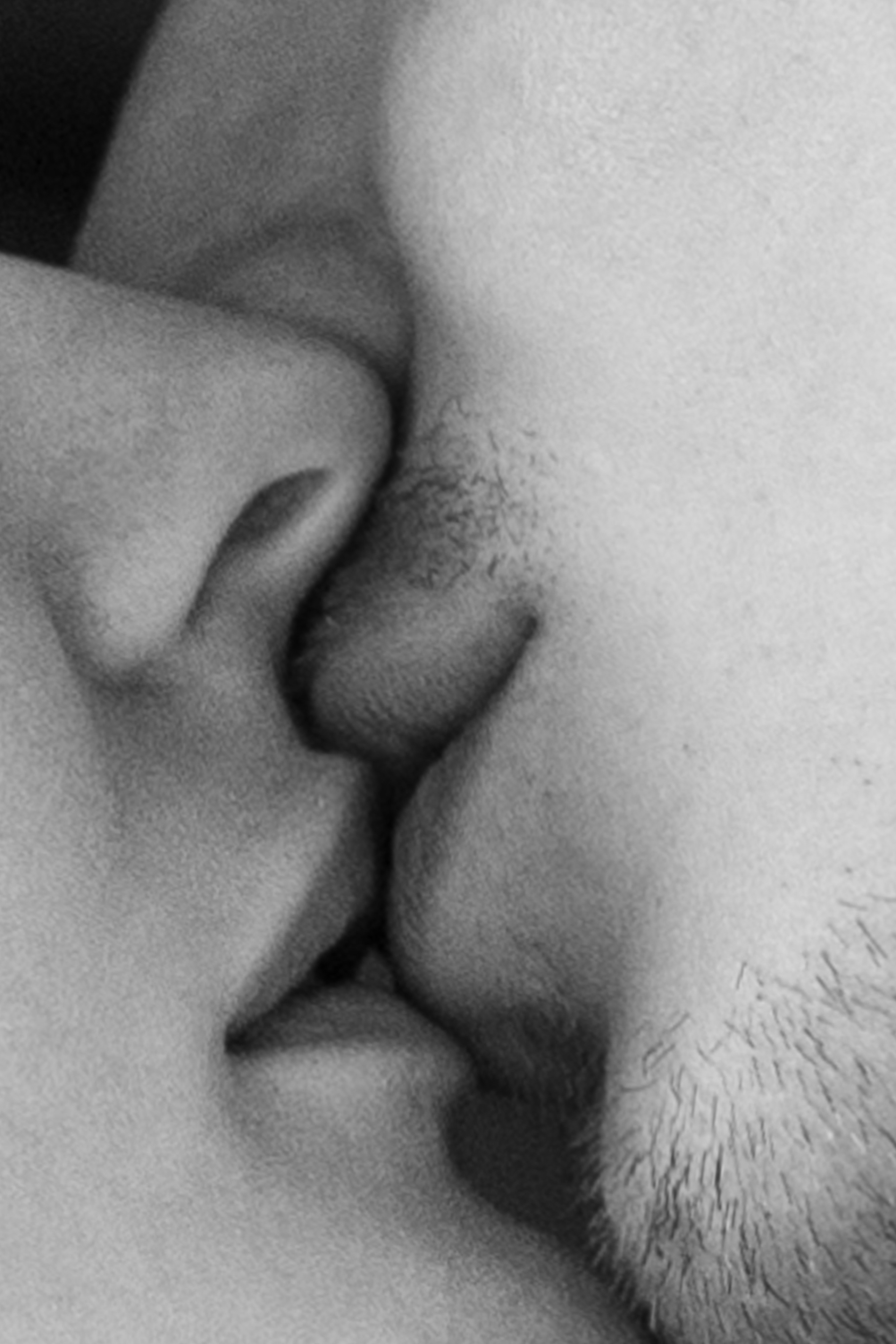 Парижская мелодия II. Главная