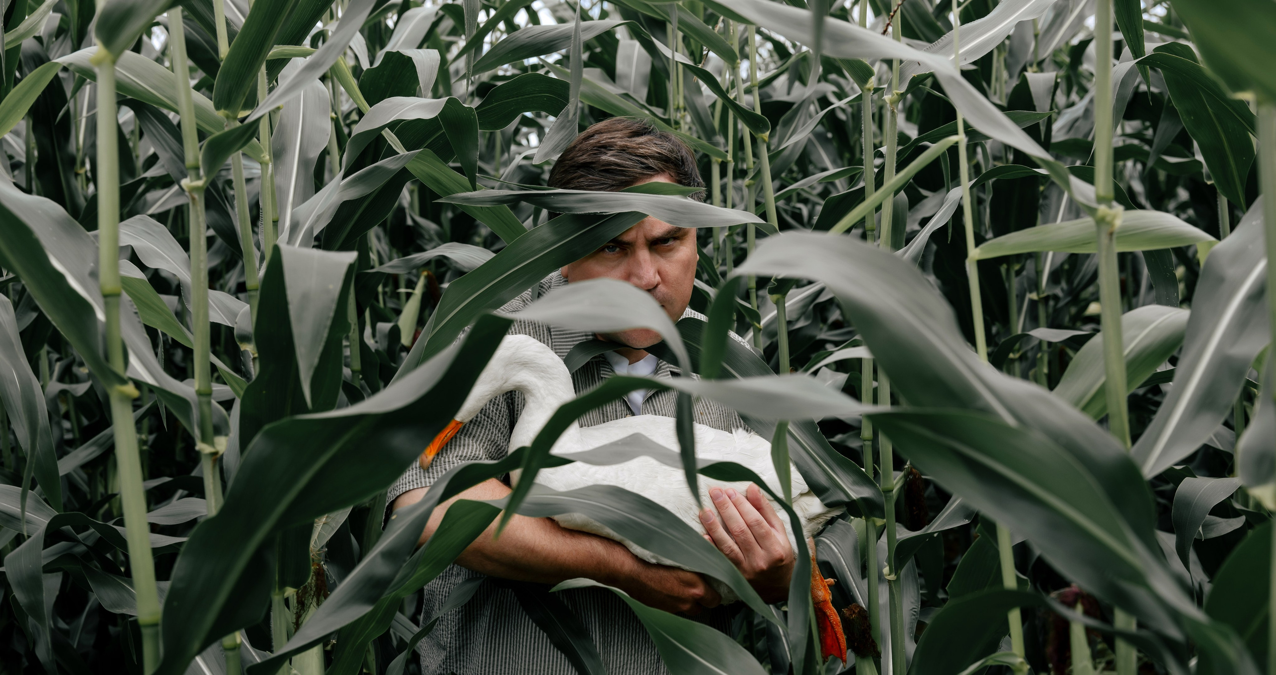 Мужской портрет. Главная