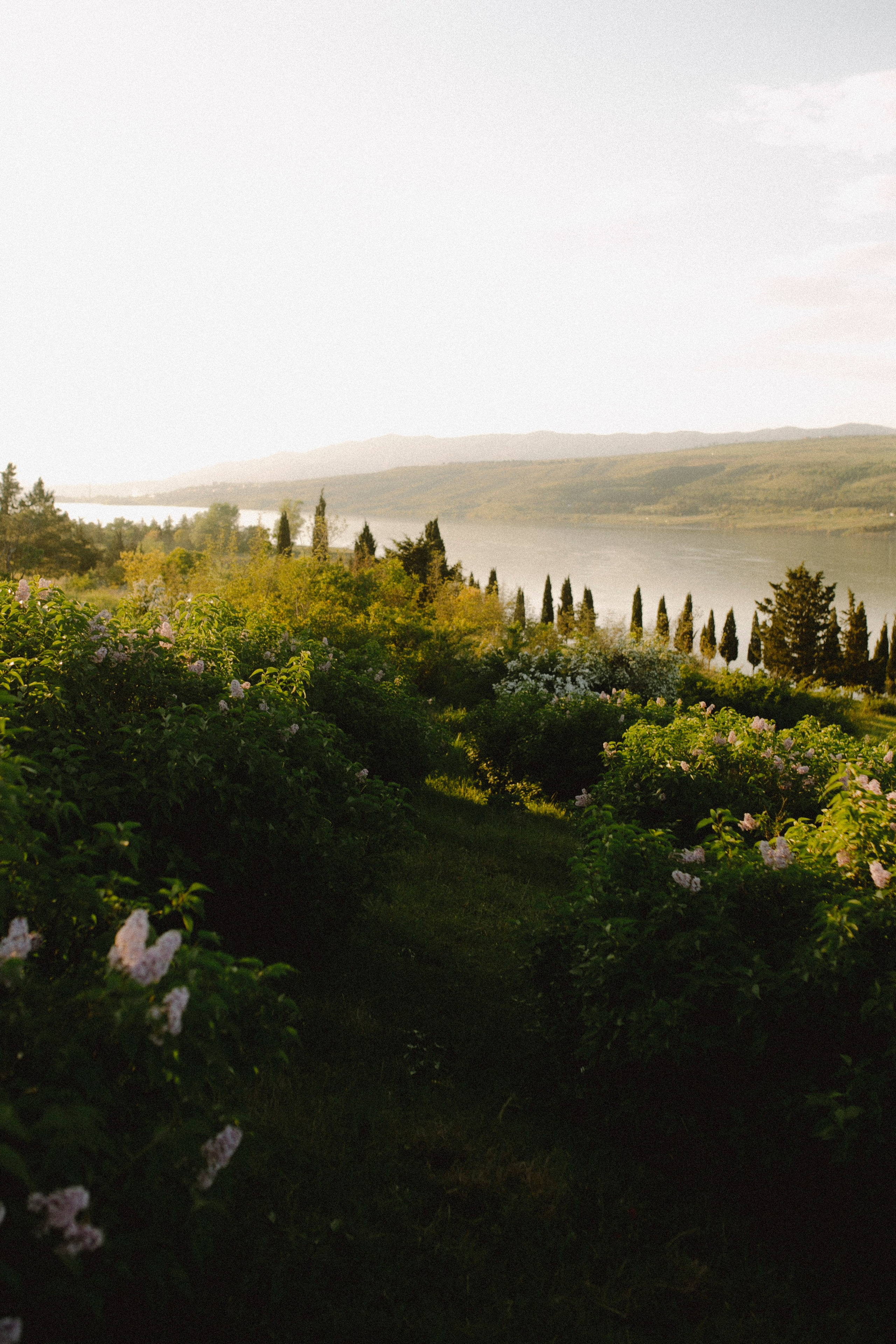 Evening with Jen at Tbilisi sea. Alex&Polly | Wedding & Family Photographer Tbilisi