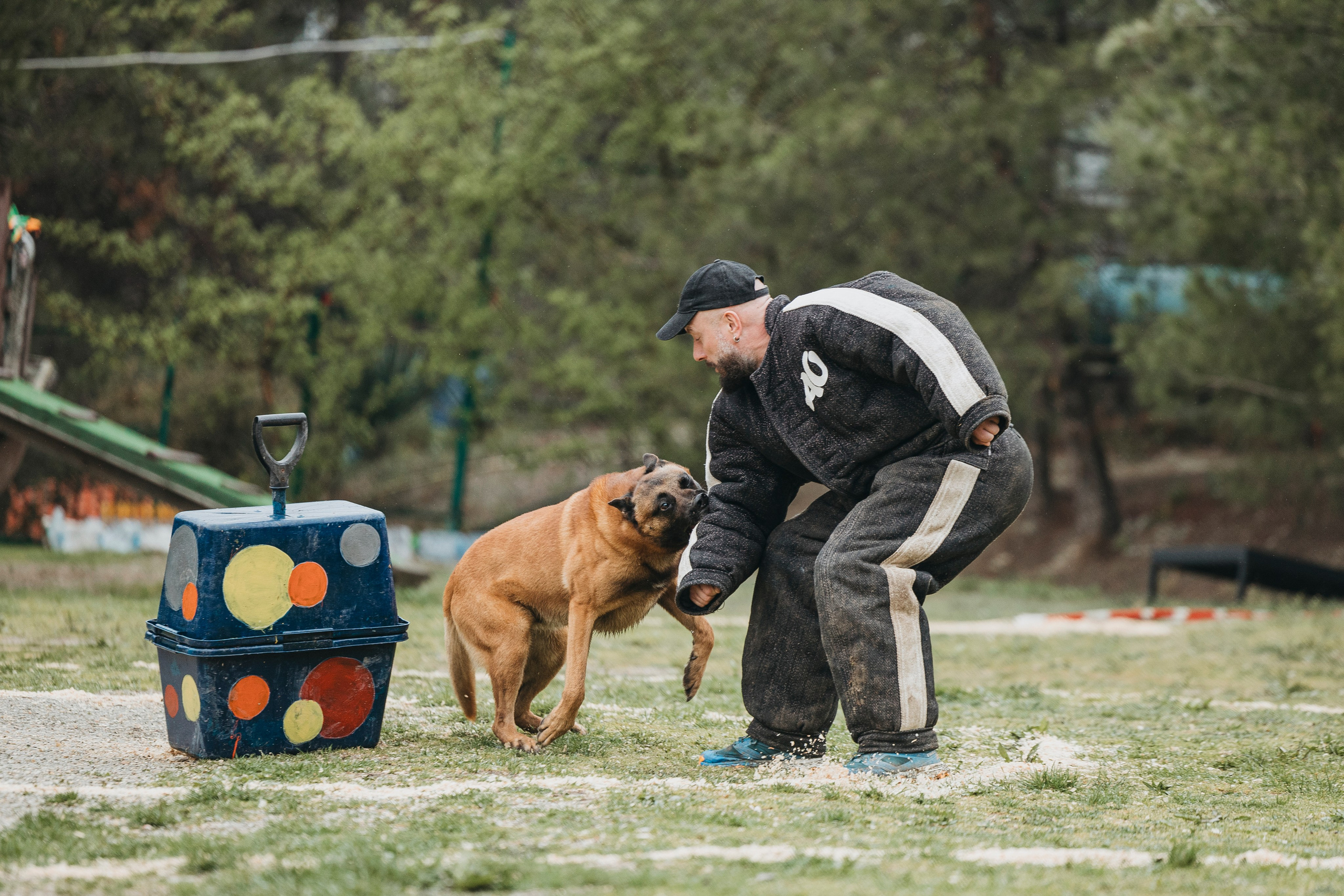 Геленджик Мондьоринг. Фотограф-анималист Анна Маринич