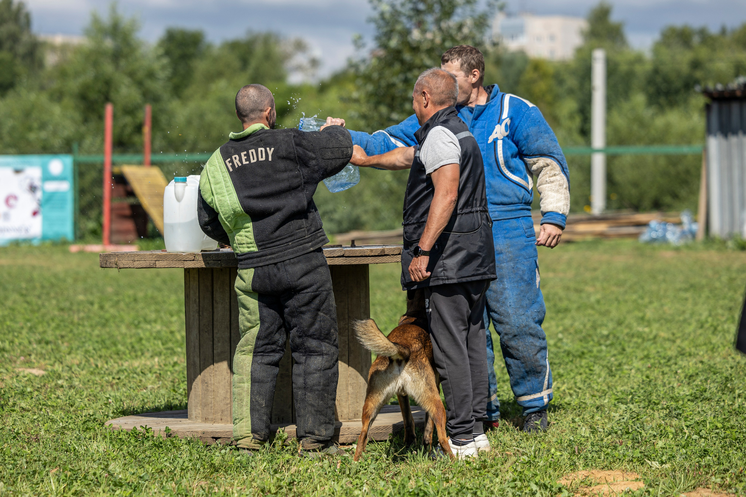 Соревнования по Мондьорингу г. Вологда 10-11.08.2024. Фотограф-анималист Анна Маринич