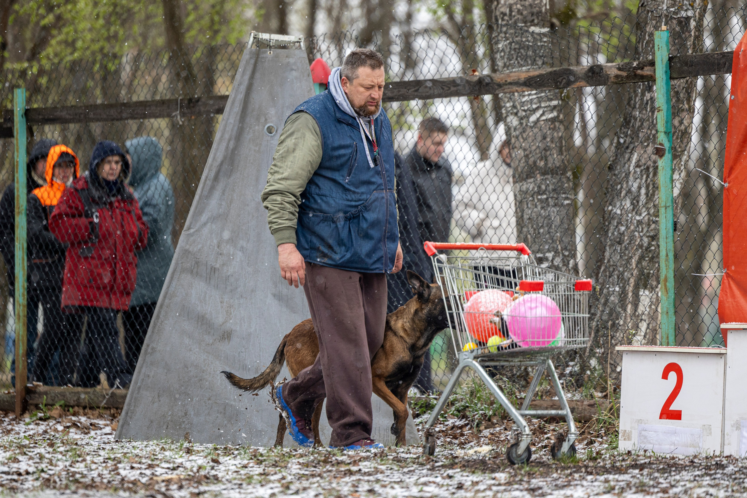 Квалификационные состязания по мондьорингу г. Вологда 11.05.24. Фотограф-анималист Анна Маринич