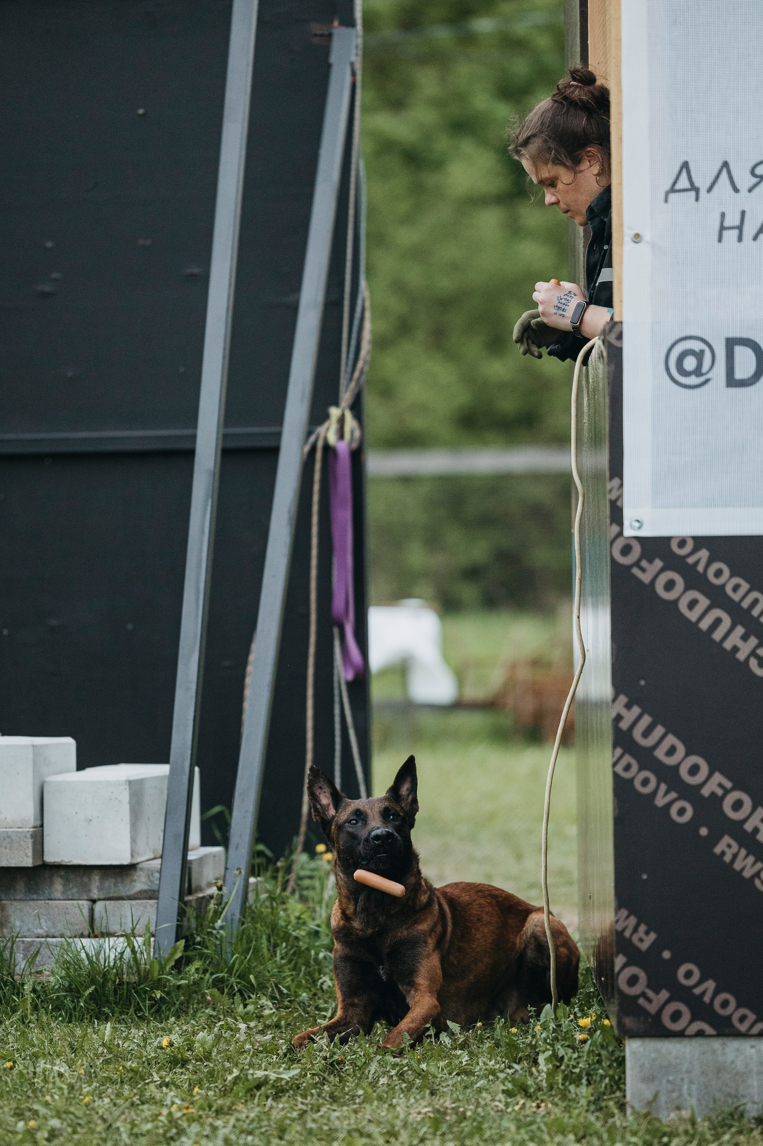 26.05.25 г. Пушкин квалификационные соревнования. Фотограф-анималист Анна Маринич