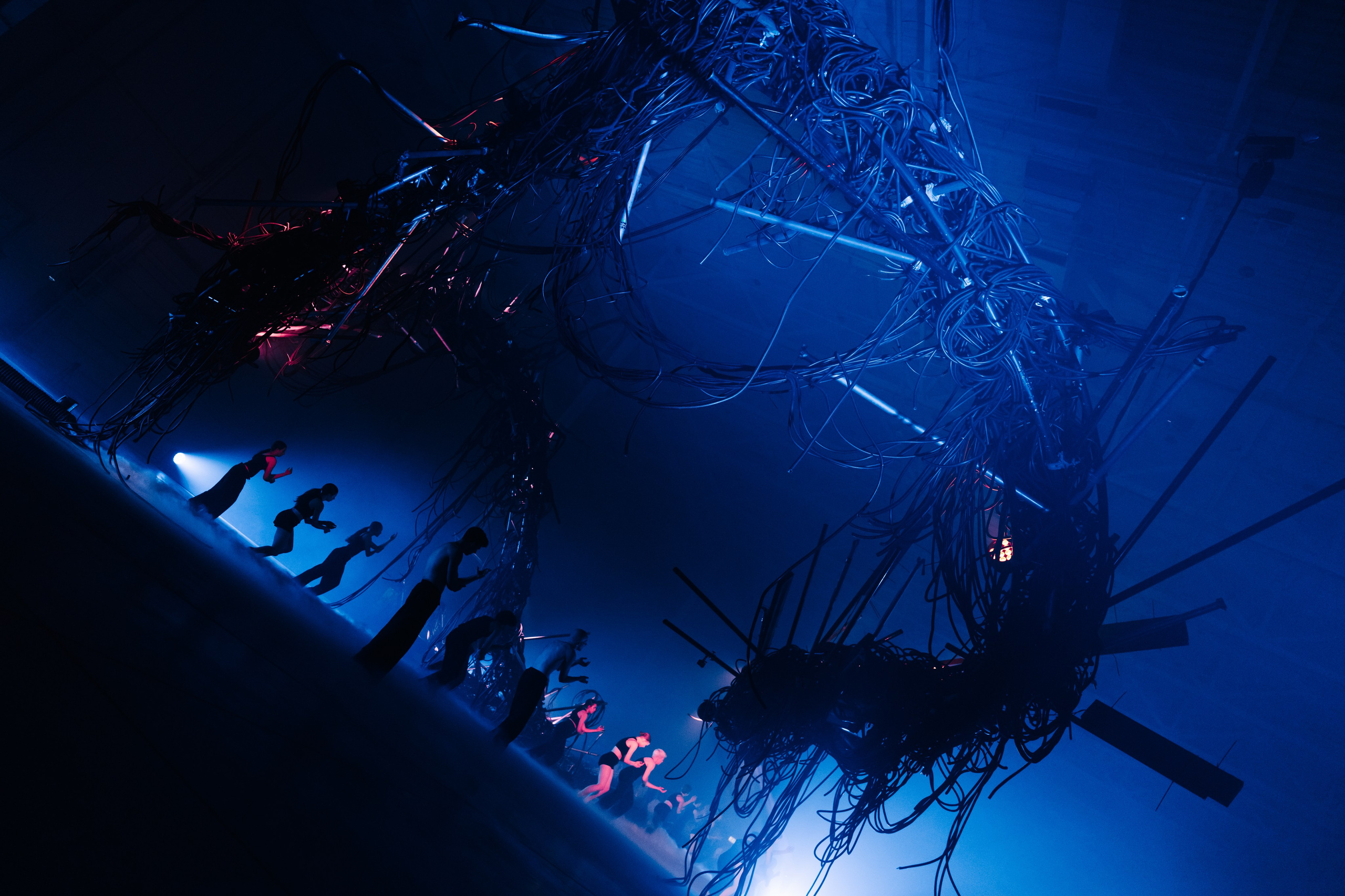 PERFORMA, The Hour of the Horse. @tomrus: Рустам Шагиморданов — фотограф