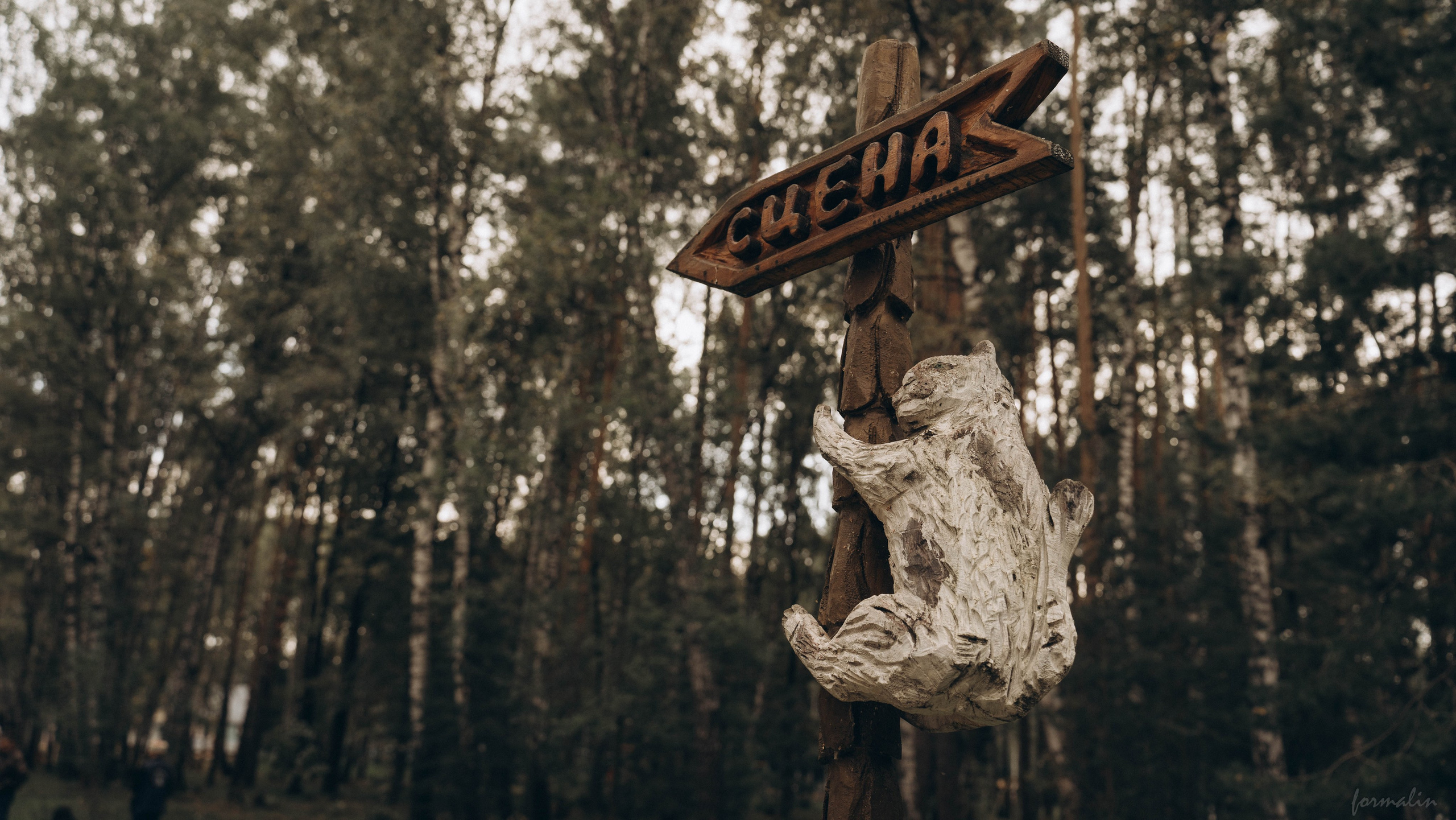 Фестиваль поисковых отрядов РТ 2025. Алиса Никитцова | Фотограф в Казани