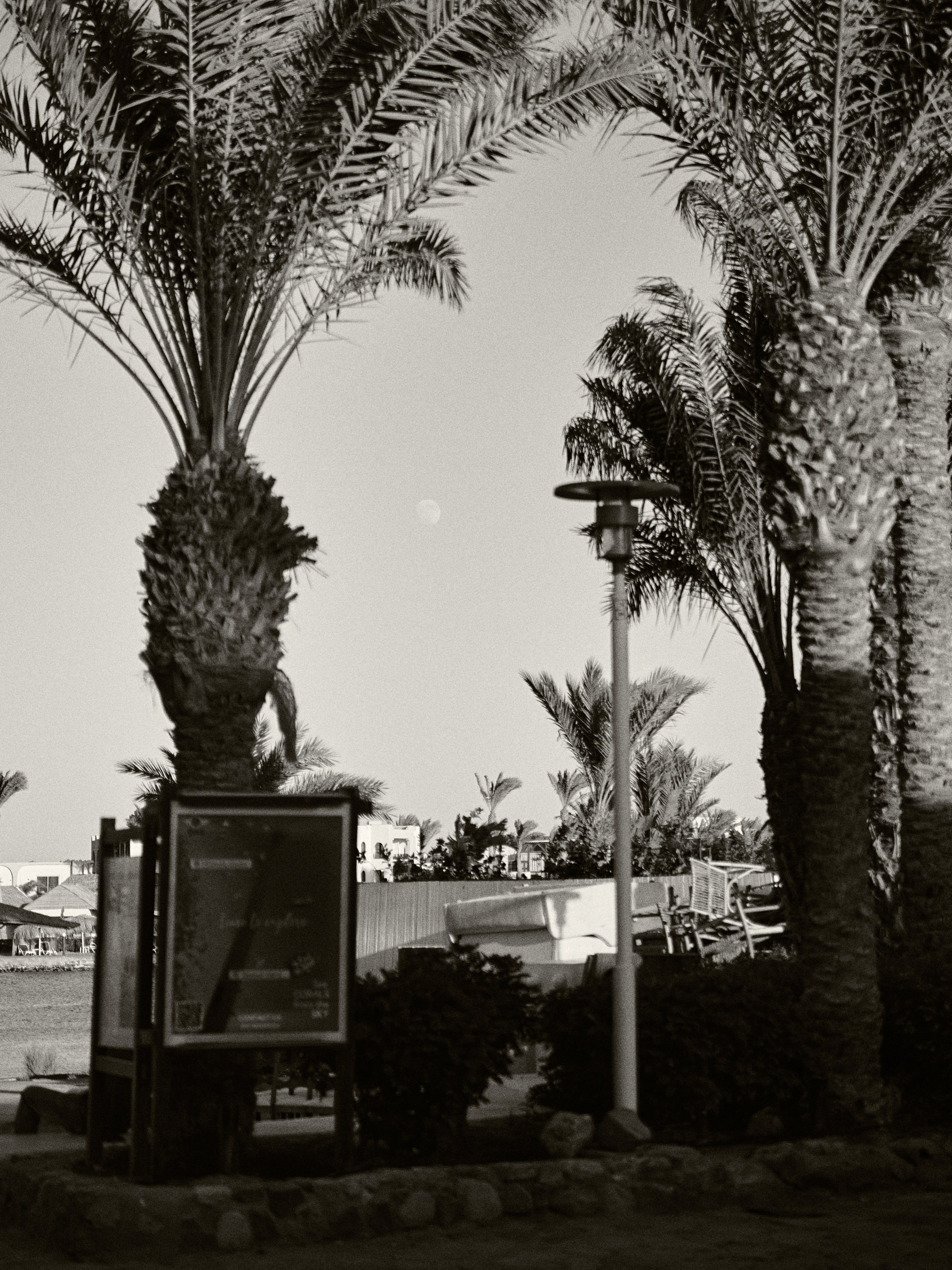 Диптих. Jorgis — фотограф в Хургаде / обучение фотографии