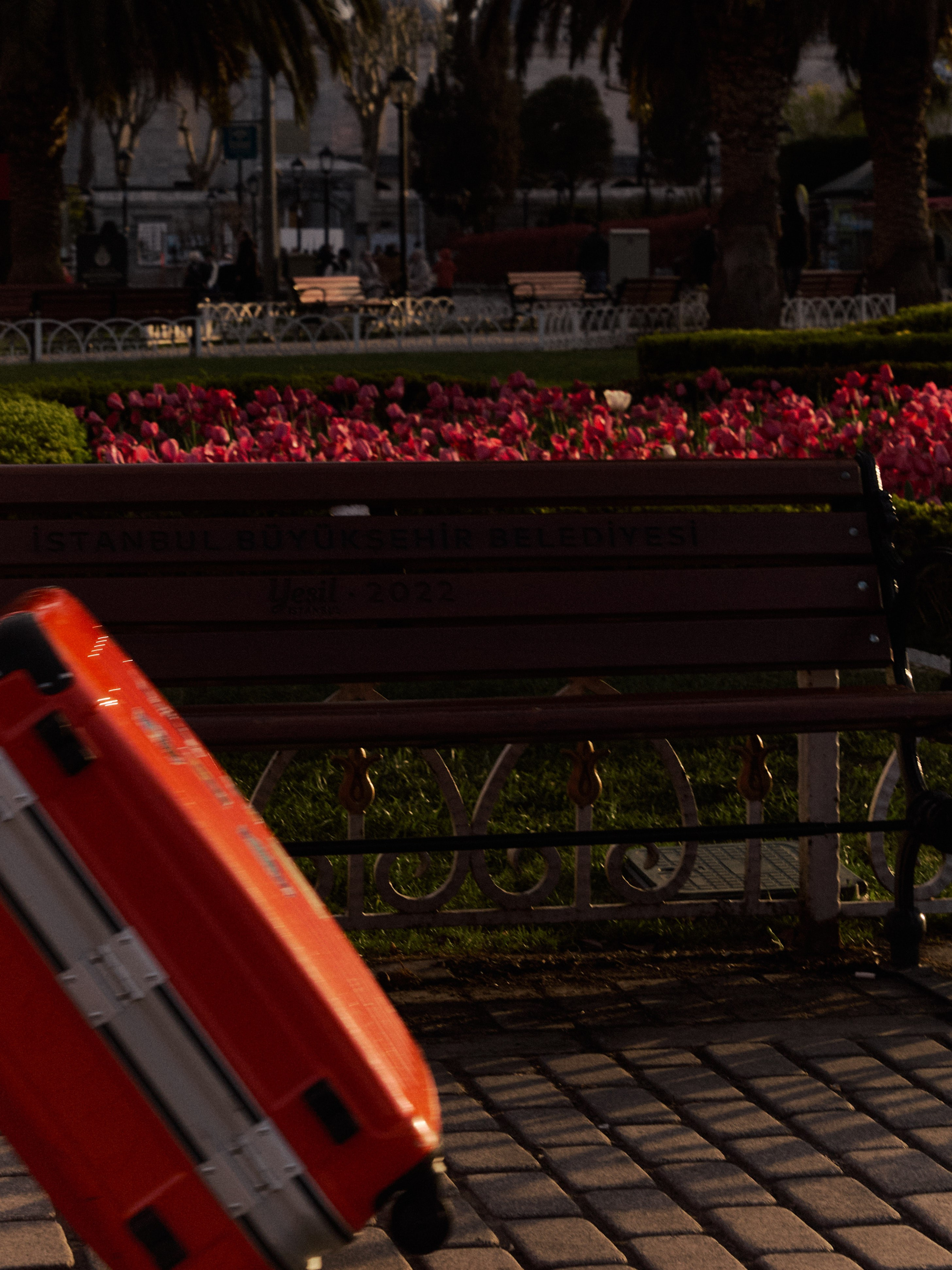 Диптих. Jorgis — фотограф в Хургаде / обучение фотографии