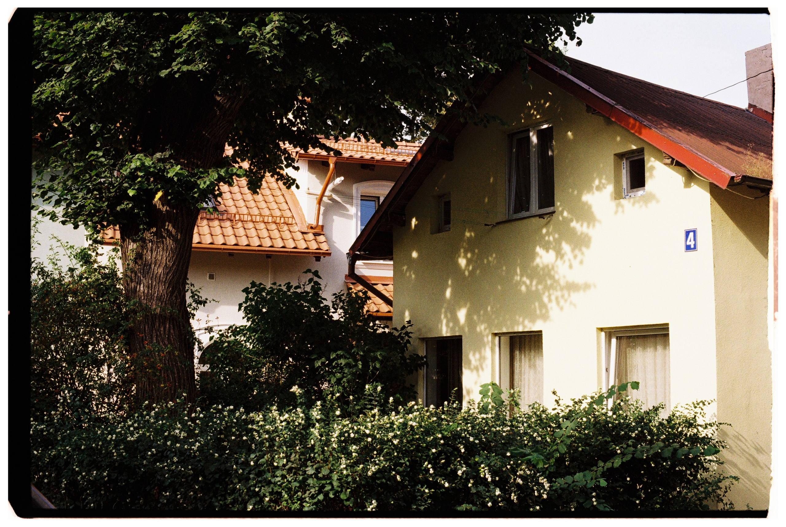 Калининград. Портретный фотограф Софья Хворостова