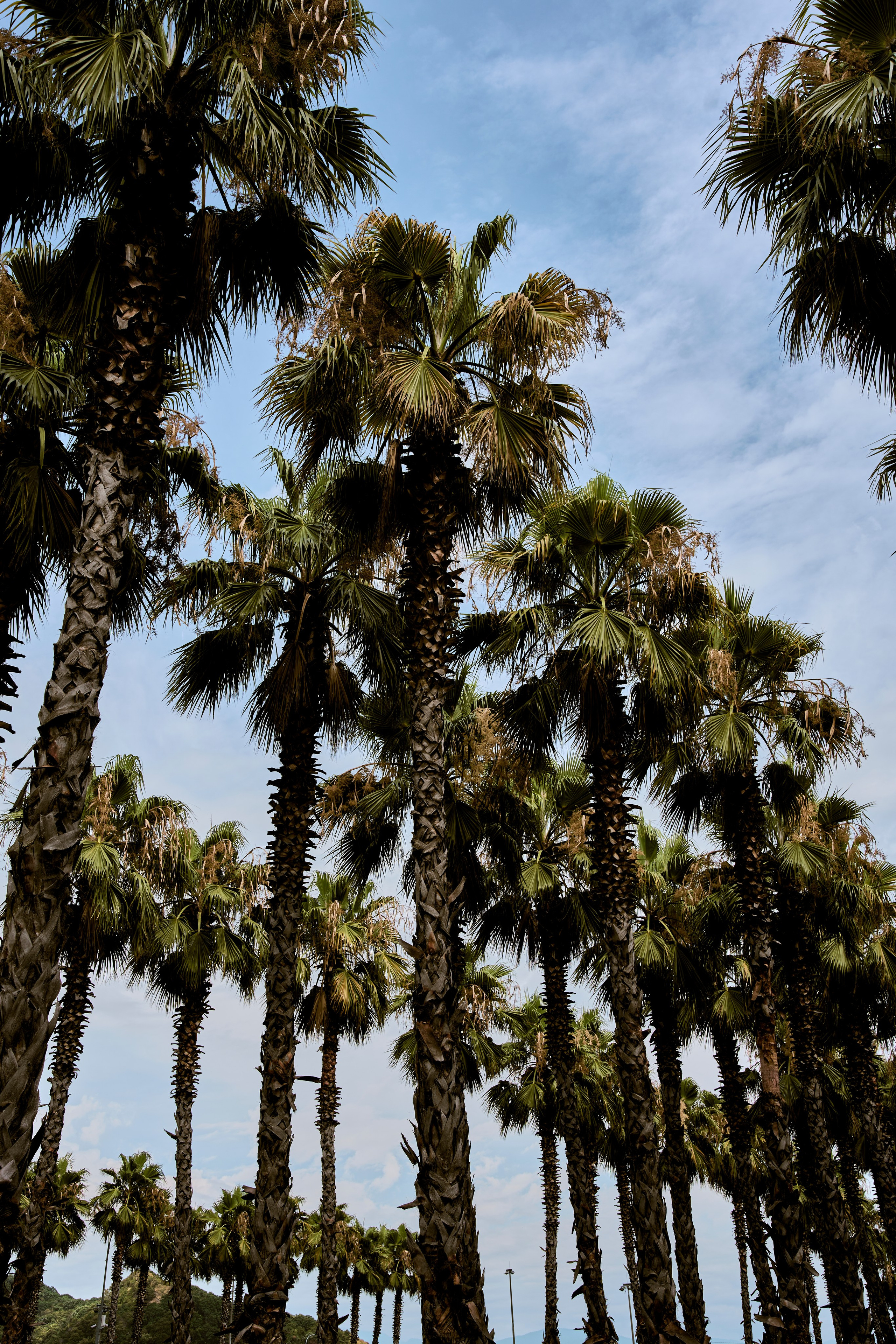 СОЧИ. Студийный фотограф в Екатеринбурге Бшари Заана