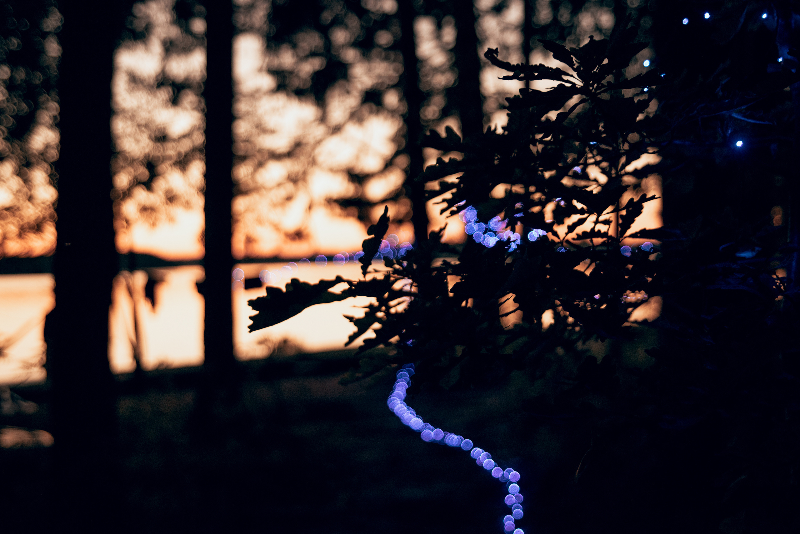 Съемка контента для инстаграм. Фотограф Москва