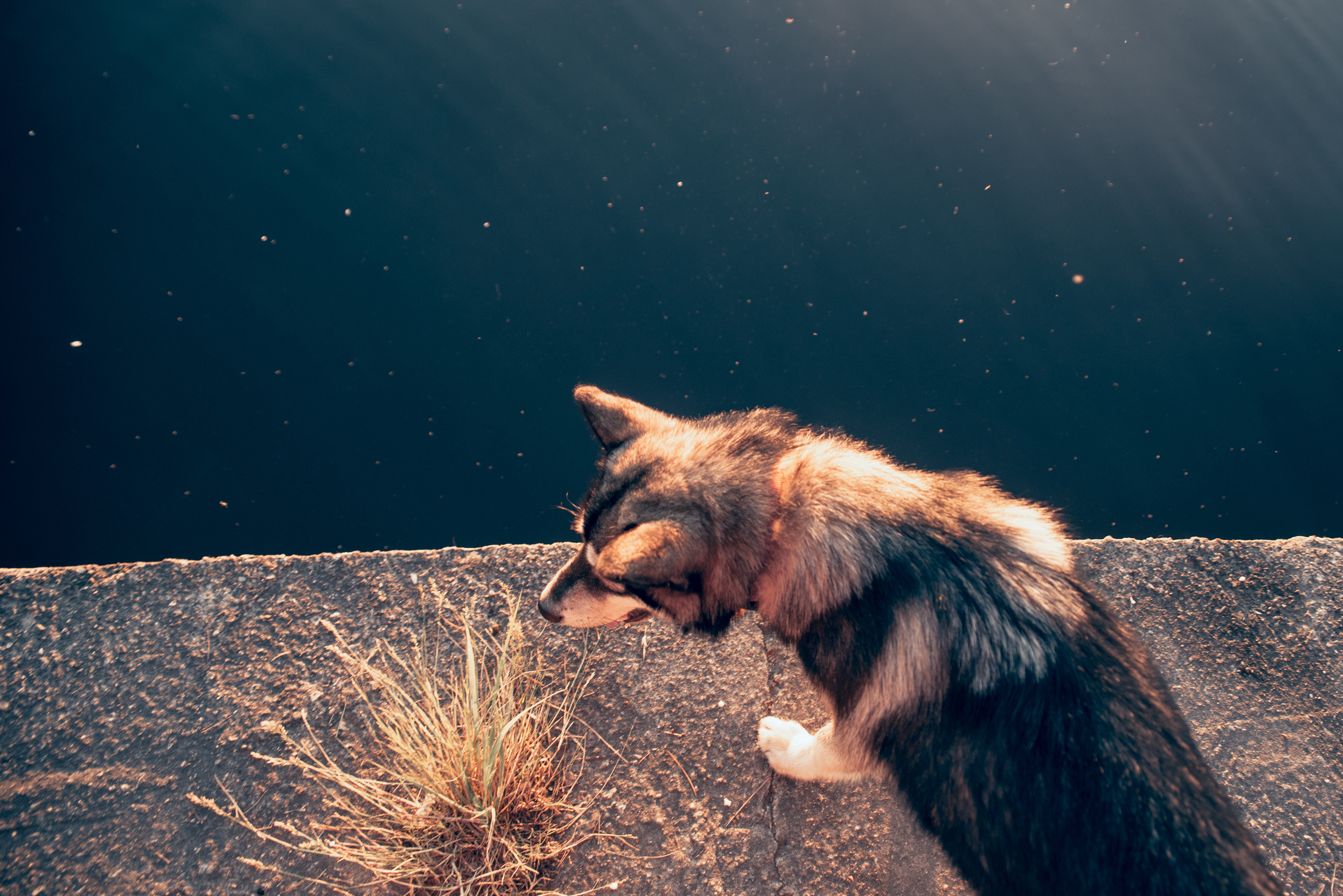 Съемка контента для инстаграм. Фотограф Москва