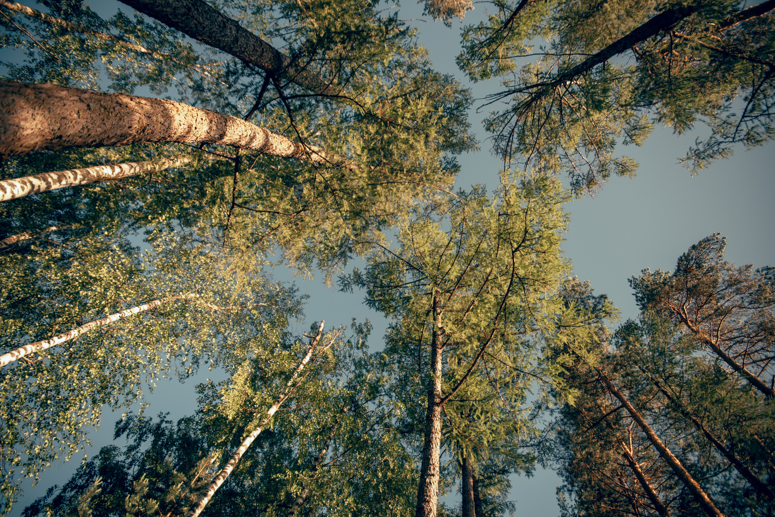 Съемка контента для инстаграм. Фотограф Москва