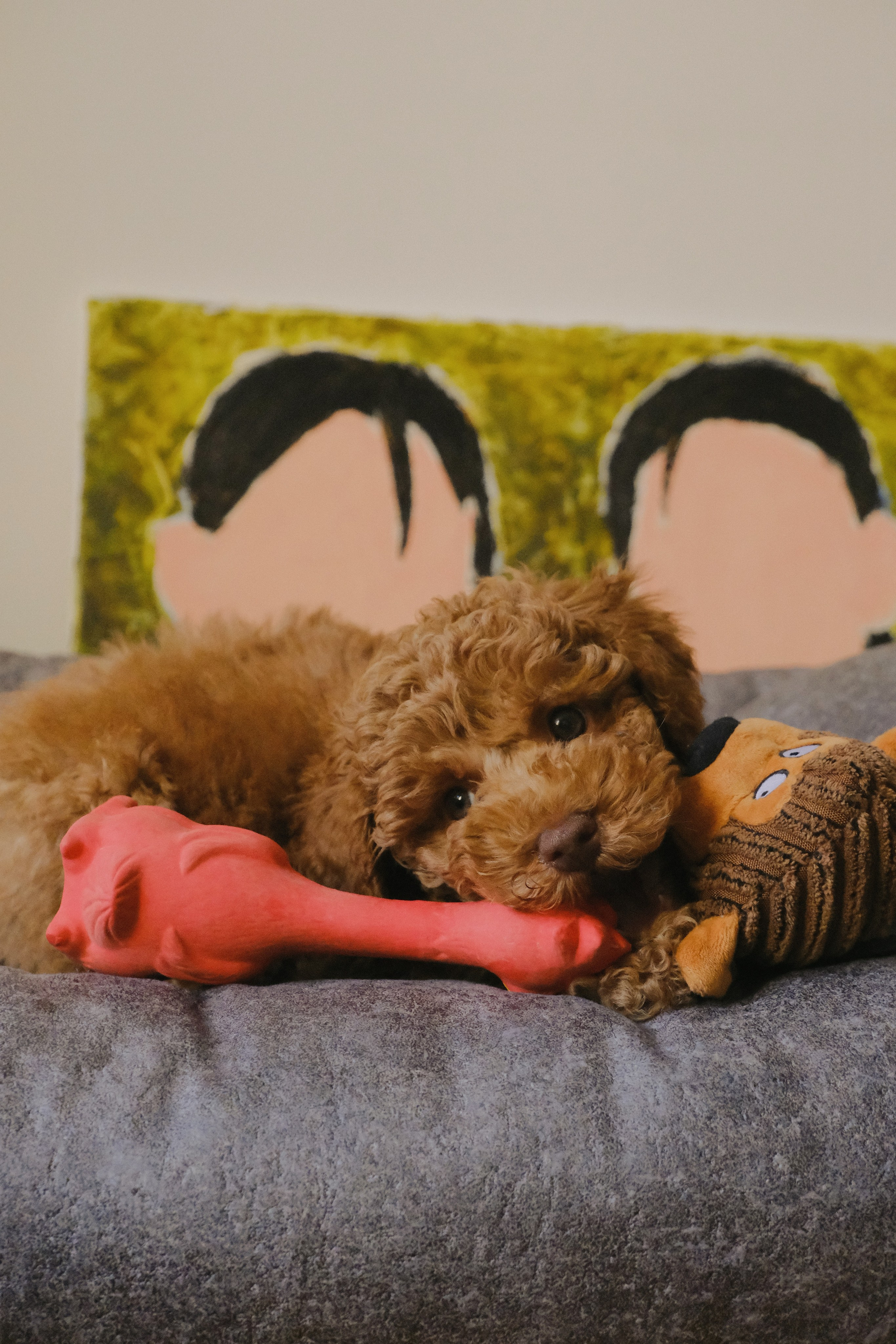 Питомцы. Татьян гертье