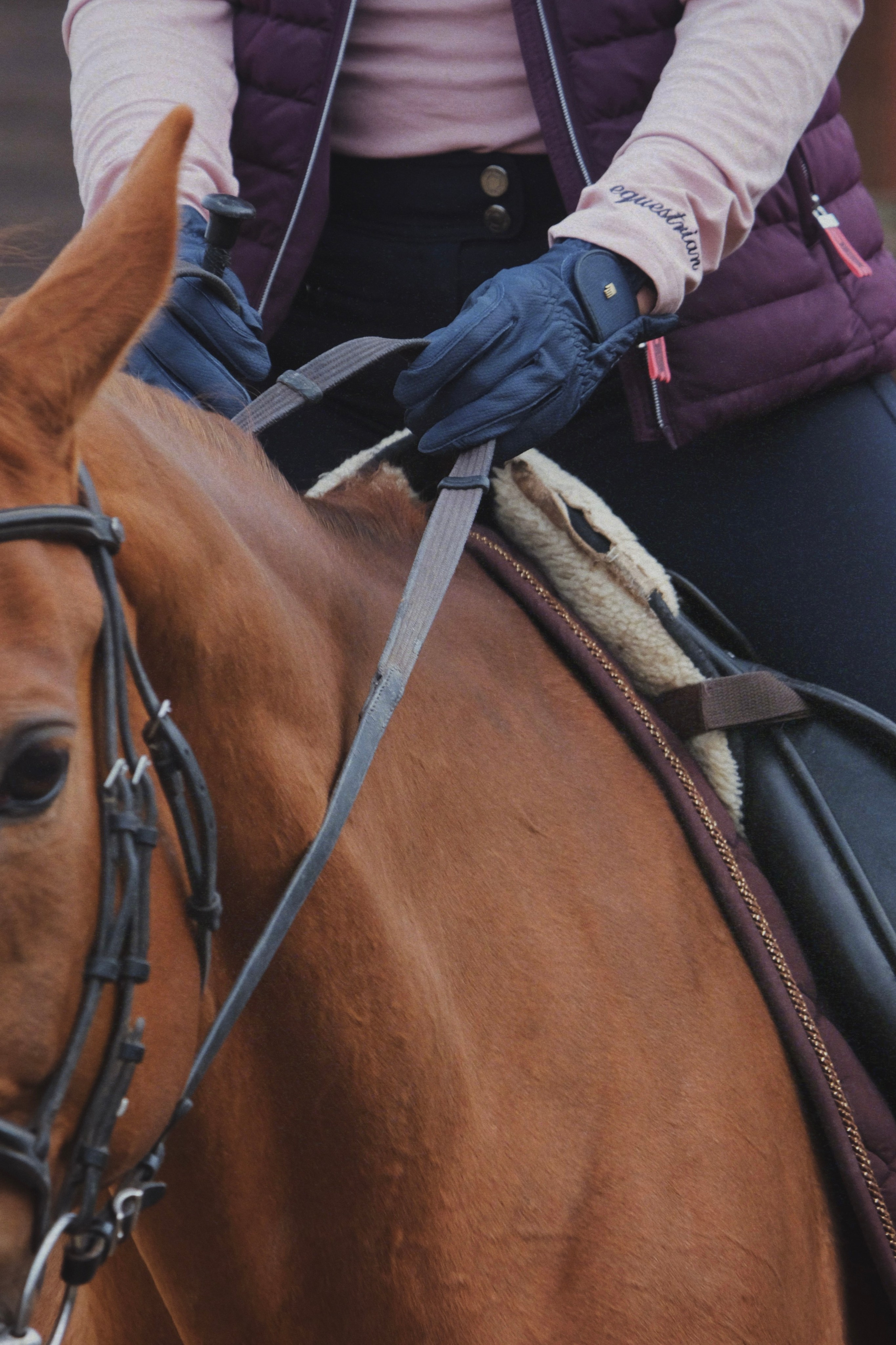 Питомцы. Татьян гертье