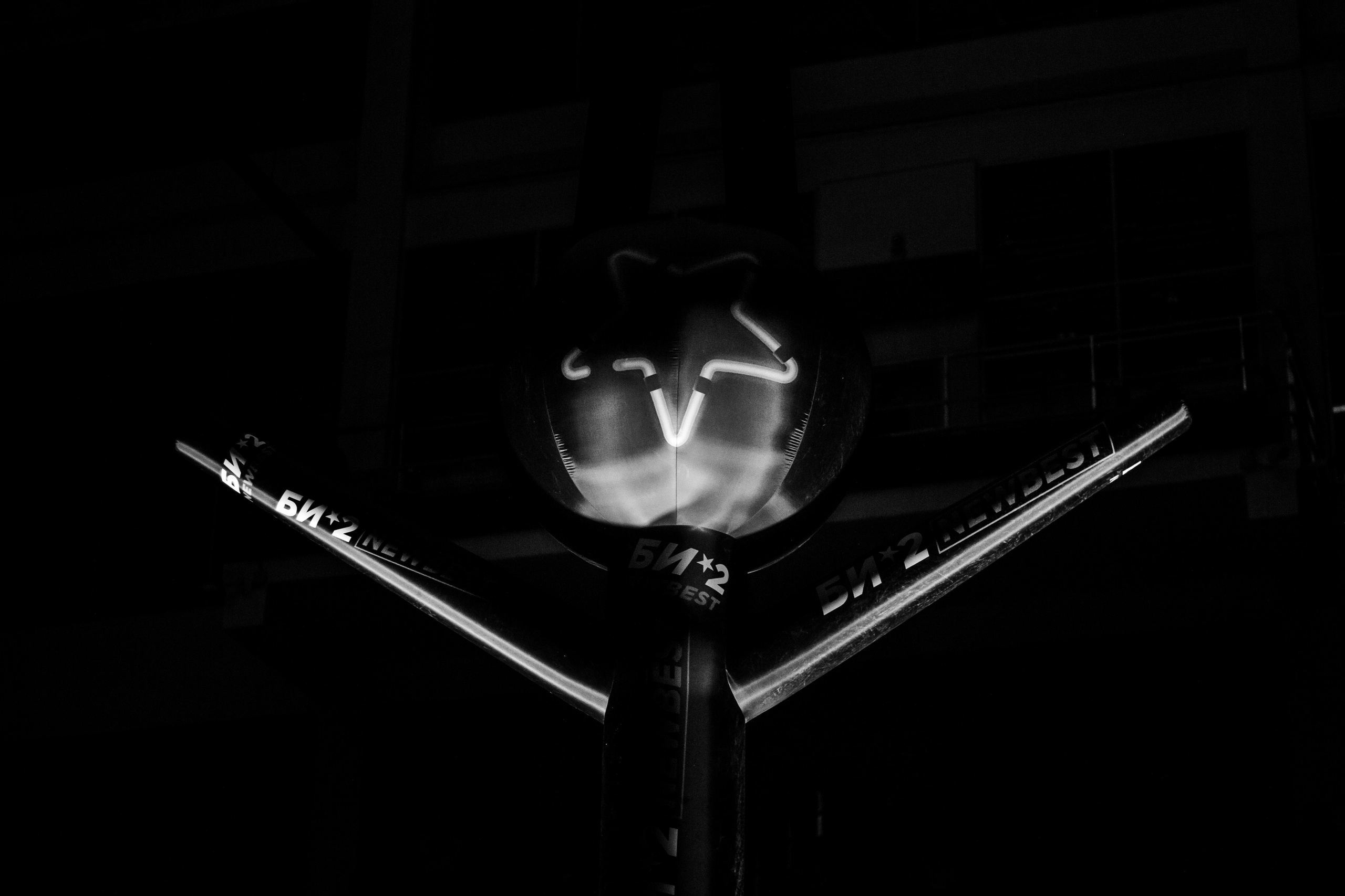 Концерт БИ-2. Фотограф в Самаре / Олеся Широнина