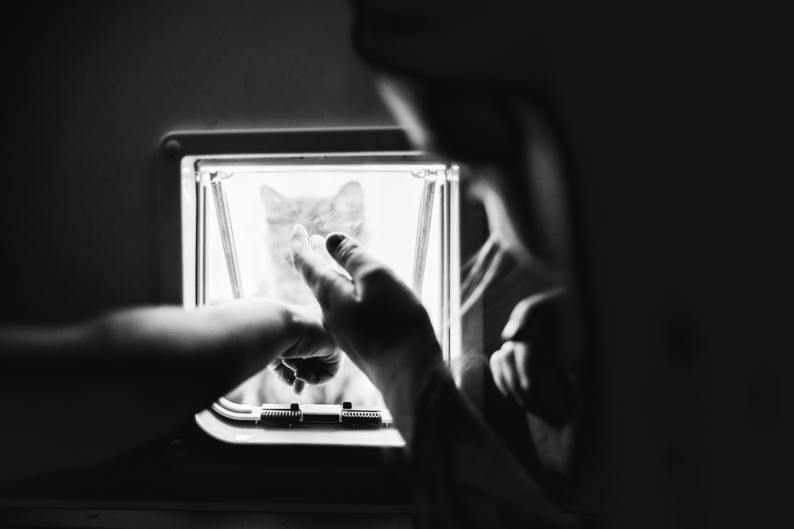 ***. Фотограф Денис Денисов