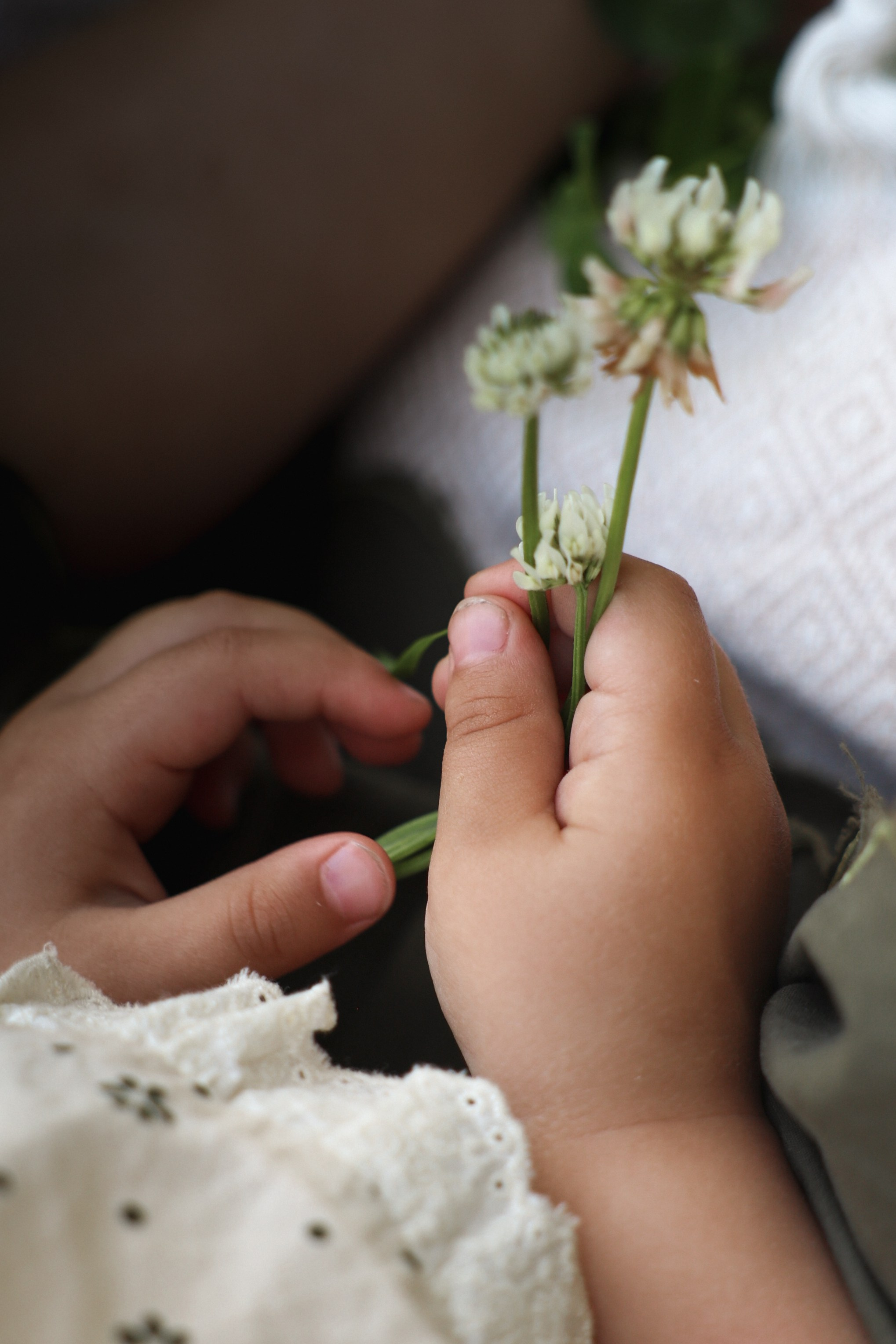 На полянке клевера. Ваш семейный newborn и lifestyle фотограф в СПБ Наталья Журавлева
