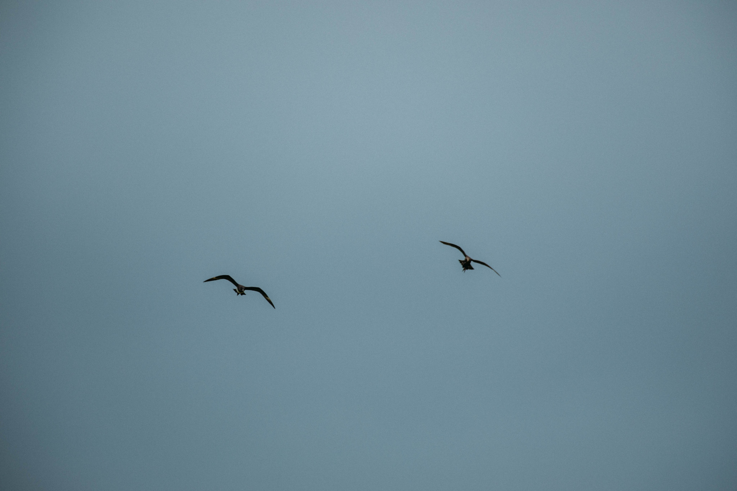 Кольский полуостров. Фотографирую для себя, своей семьи и друзей!