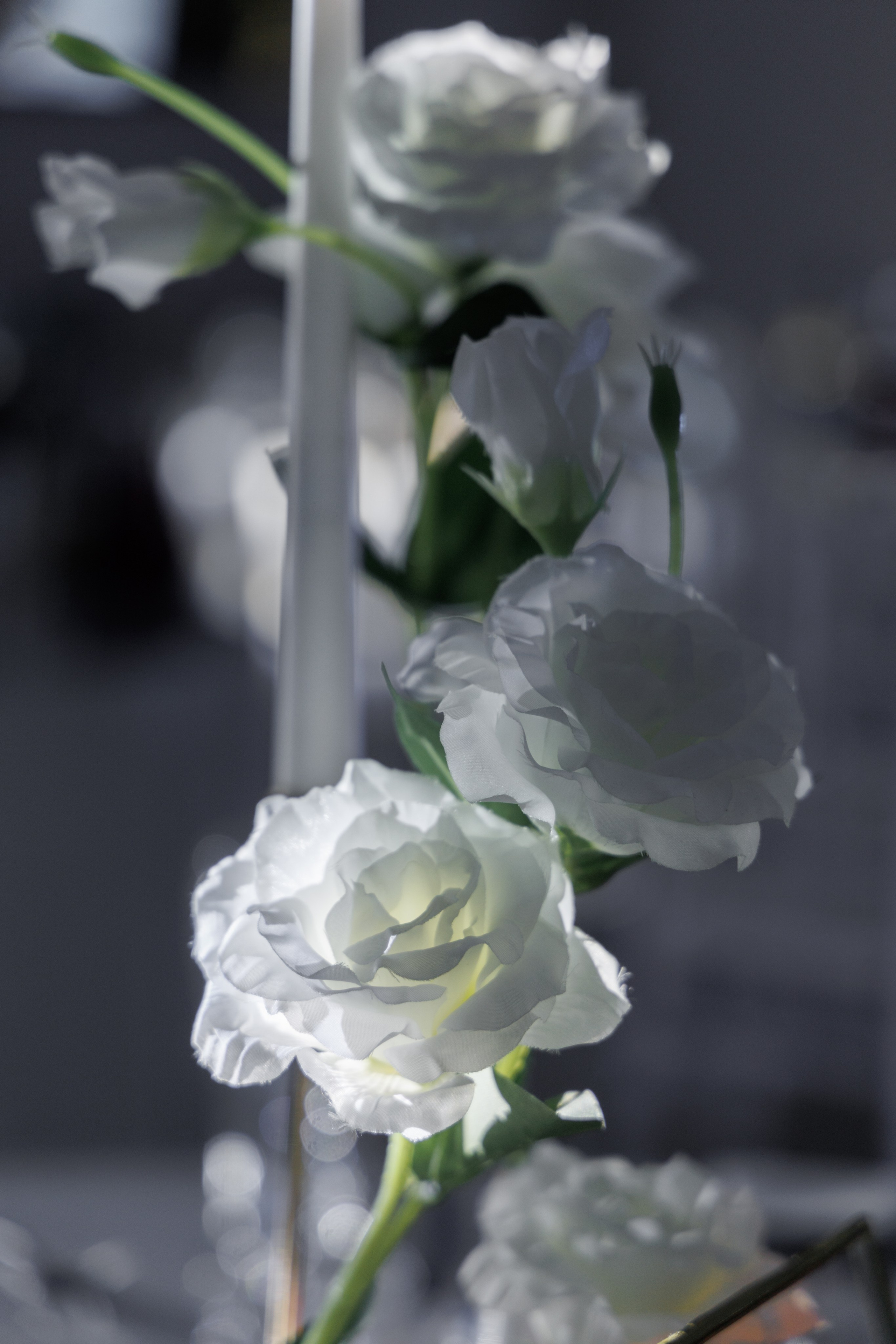 Алексей & Ксения. Свадебный и семейный фотограф в Челябинске