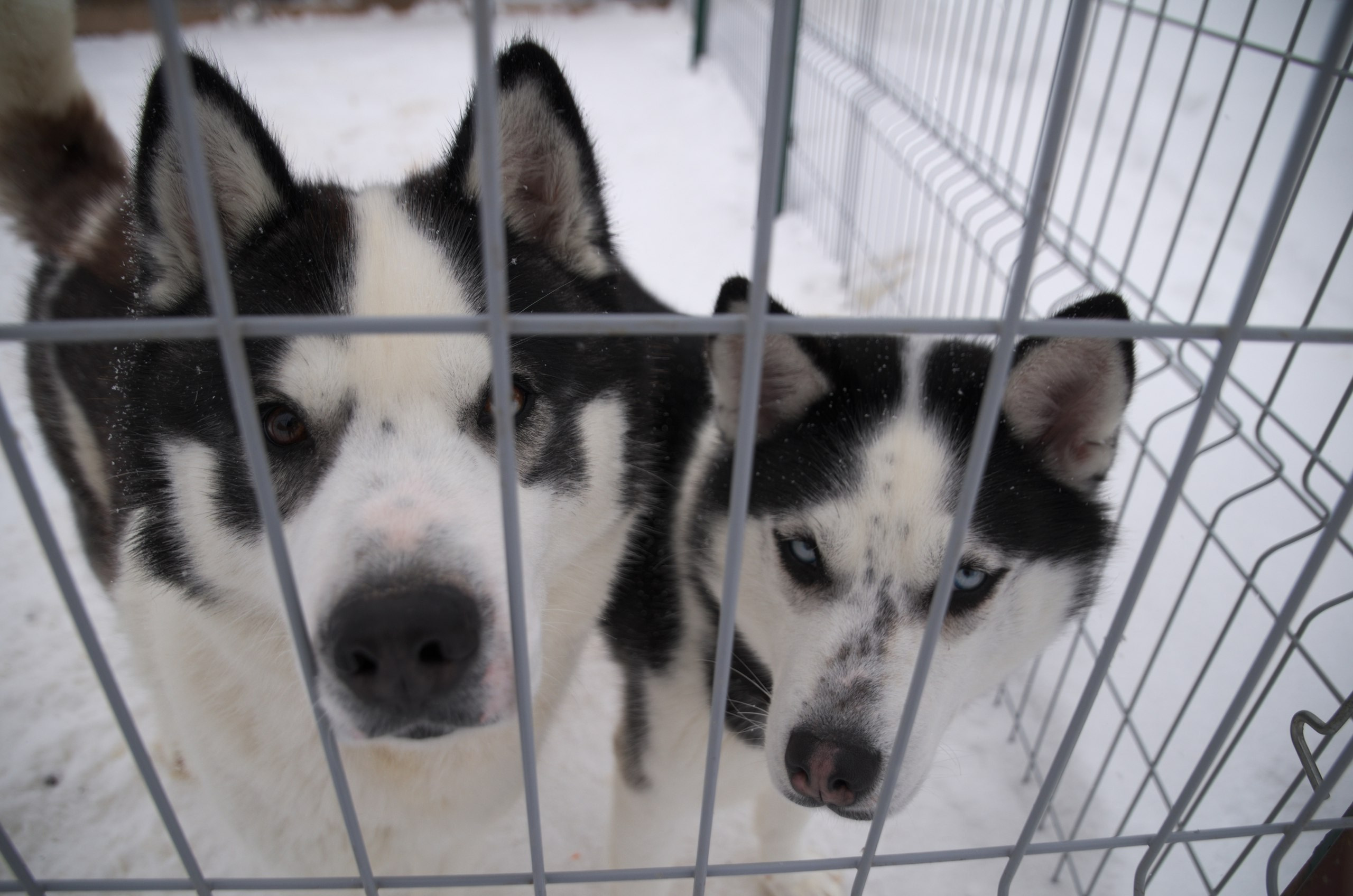 Владимир+Суздаль | 18-19.02.2017. Галерея Фантим