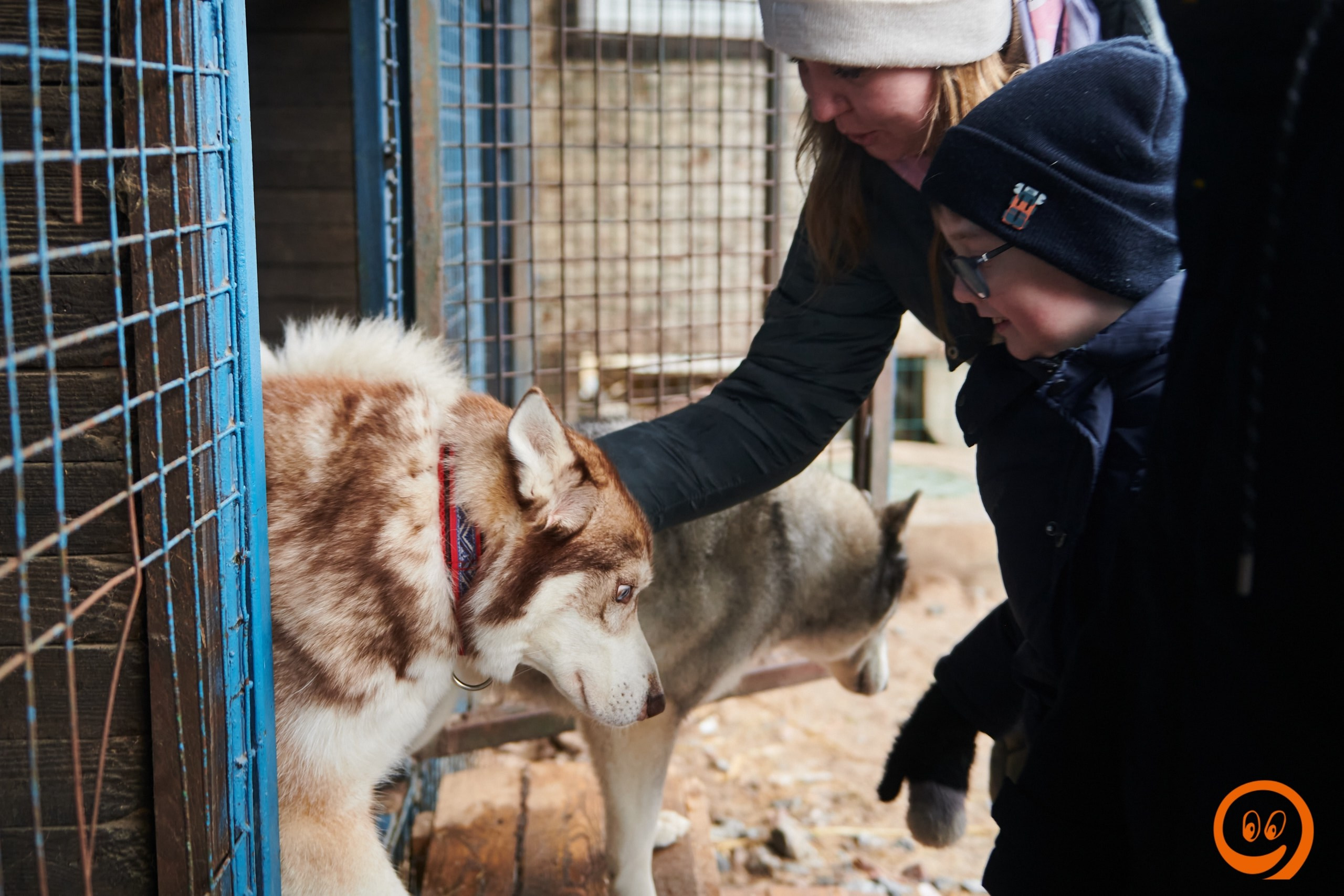 В гости к северным оленям | 18.01.2025. Галерея Фантим