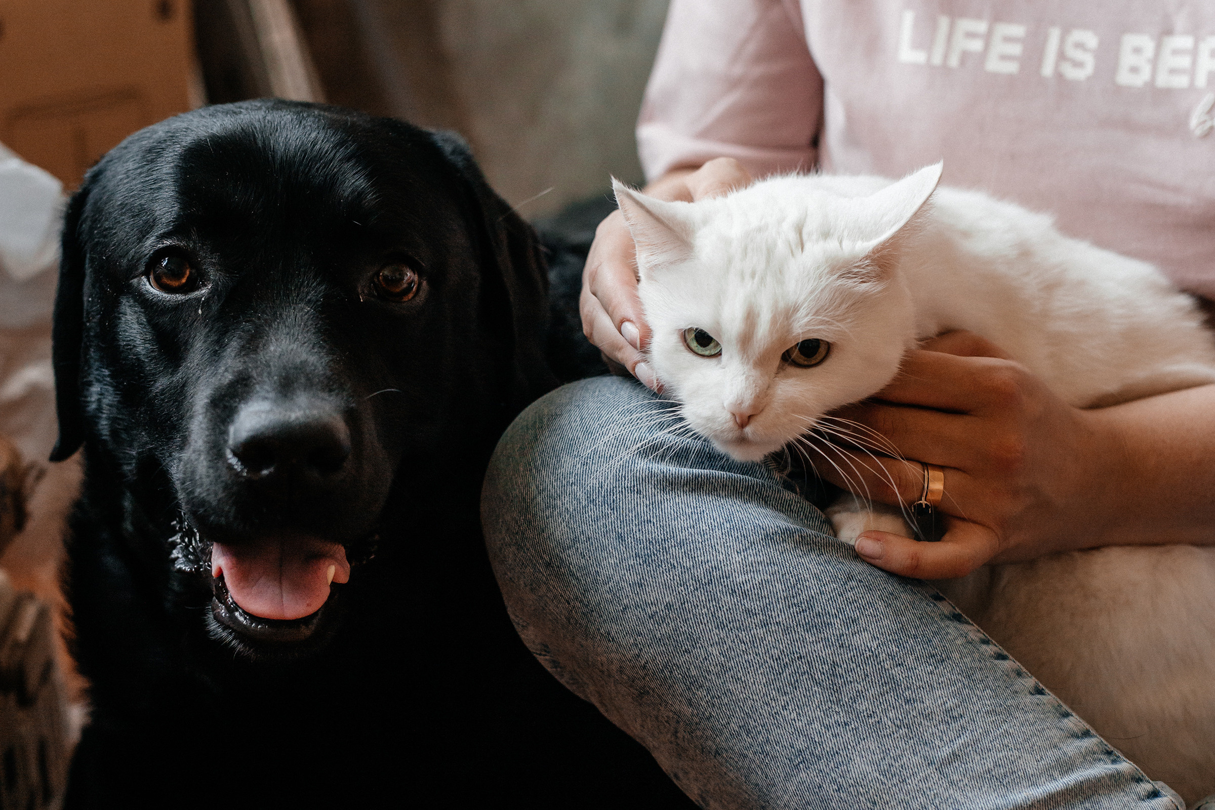 Оля+Дима+Лёва+Муся. Семейный фотограф в Минске Саша Павлюк