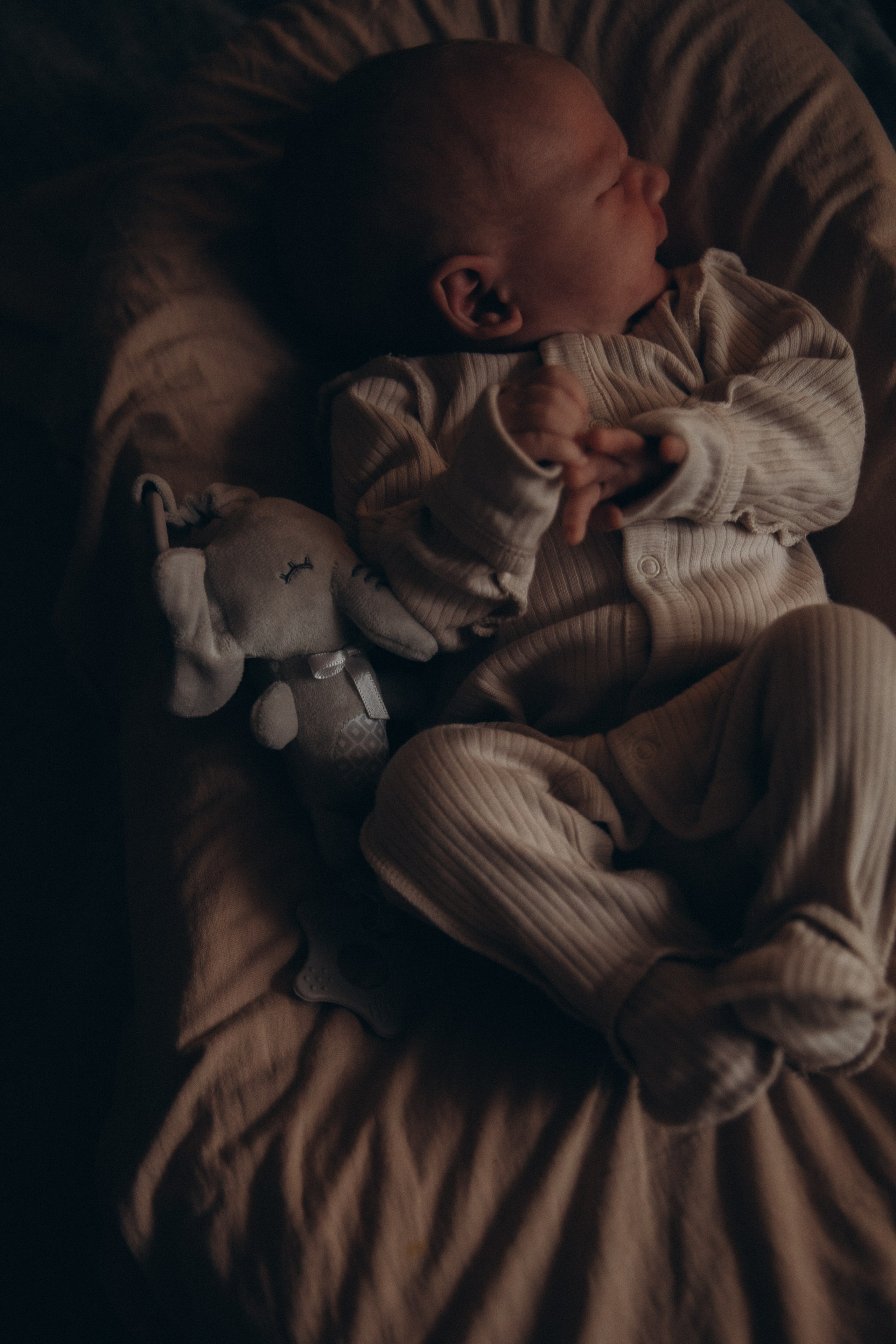 Мы дома. Фотограф  Челябинск Варвара Шарапова