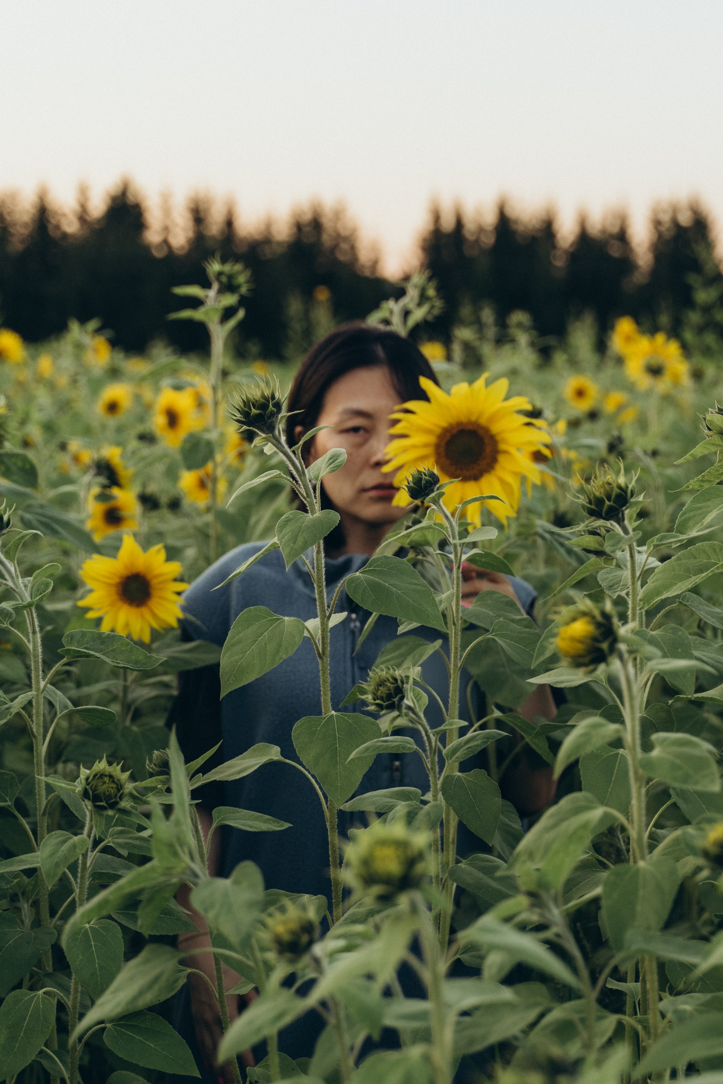 Света Ли. Главная