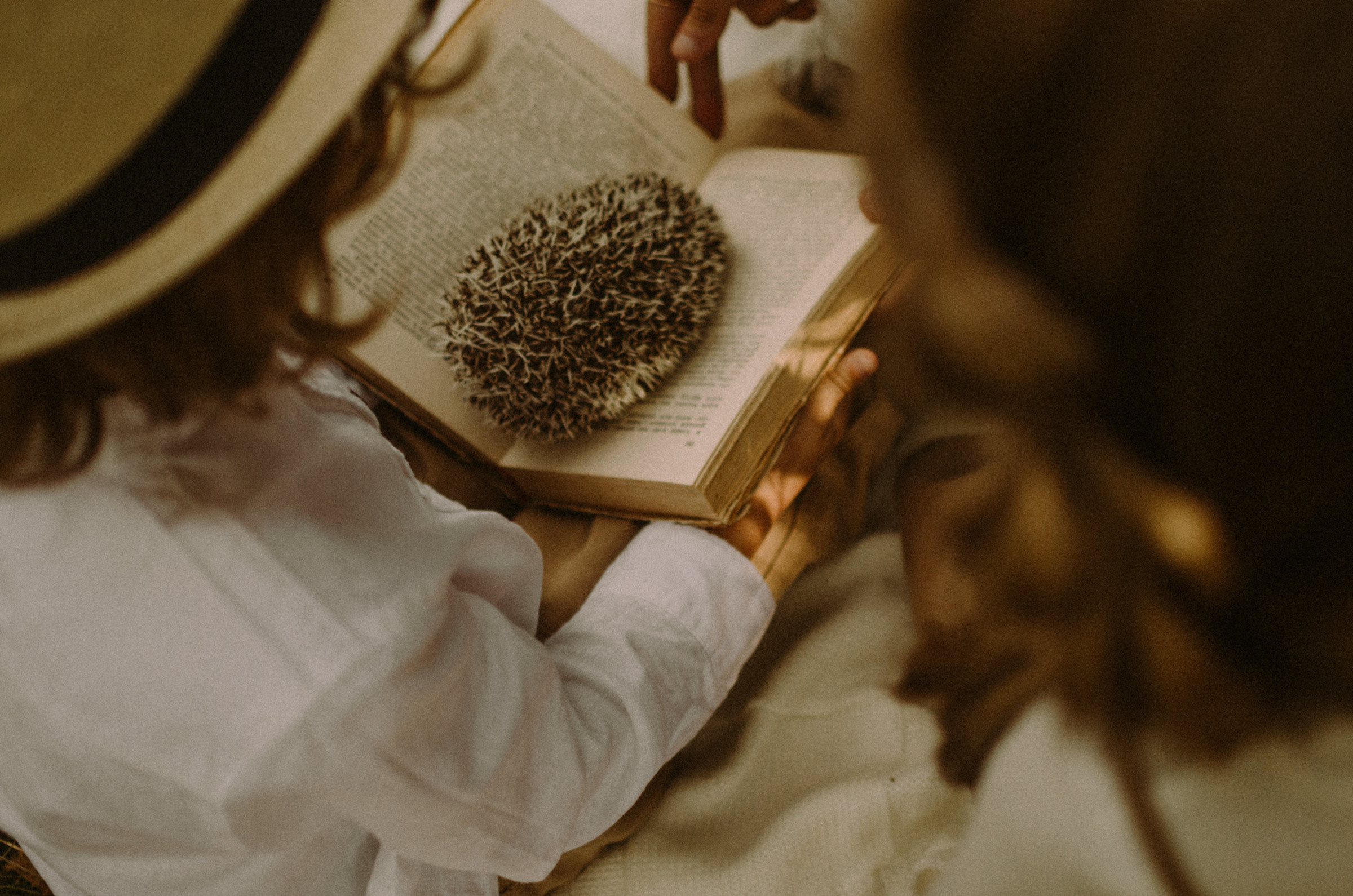 Осень, дети. Ваш Семейный Фотограф Москва