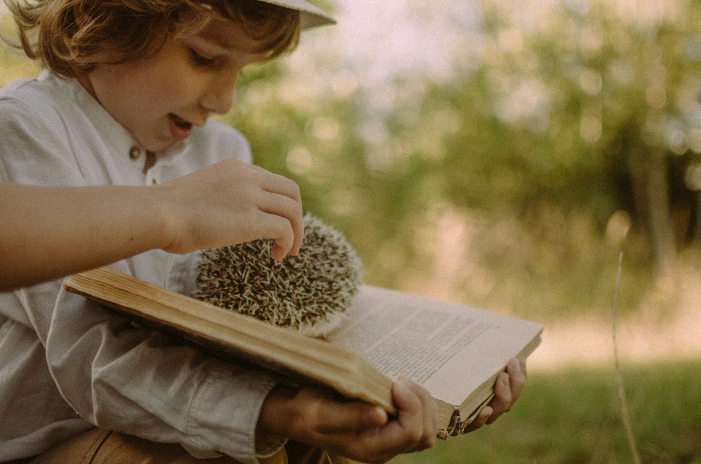 Осень, дети. Ваш Семейный Фотограф Москва