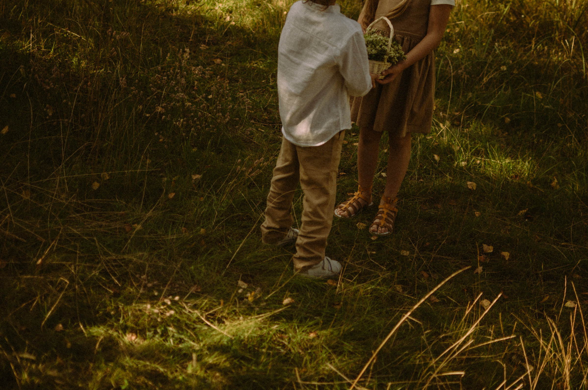 Осень, дети. Ваш Семейный Фотограф Москва