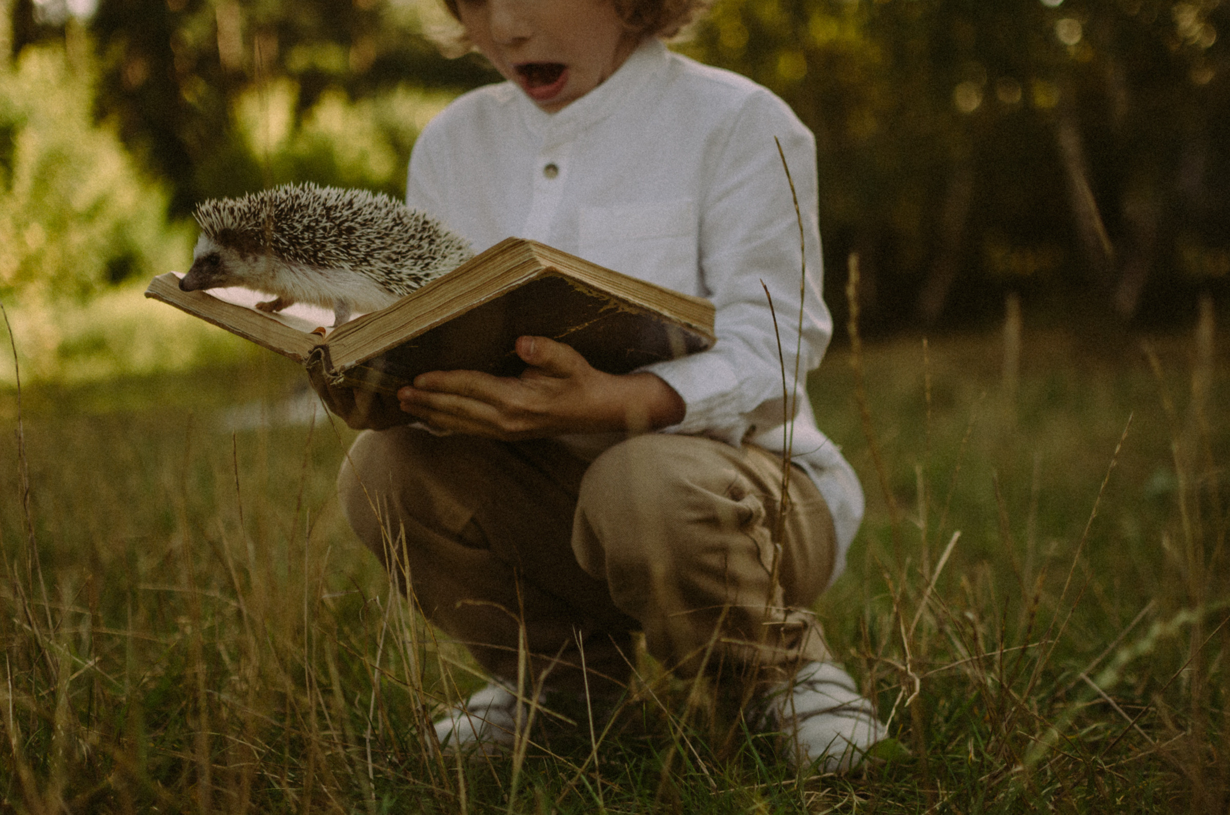 Осень, дети. Ваш Семейный Фотограф Москва